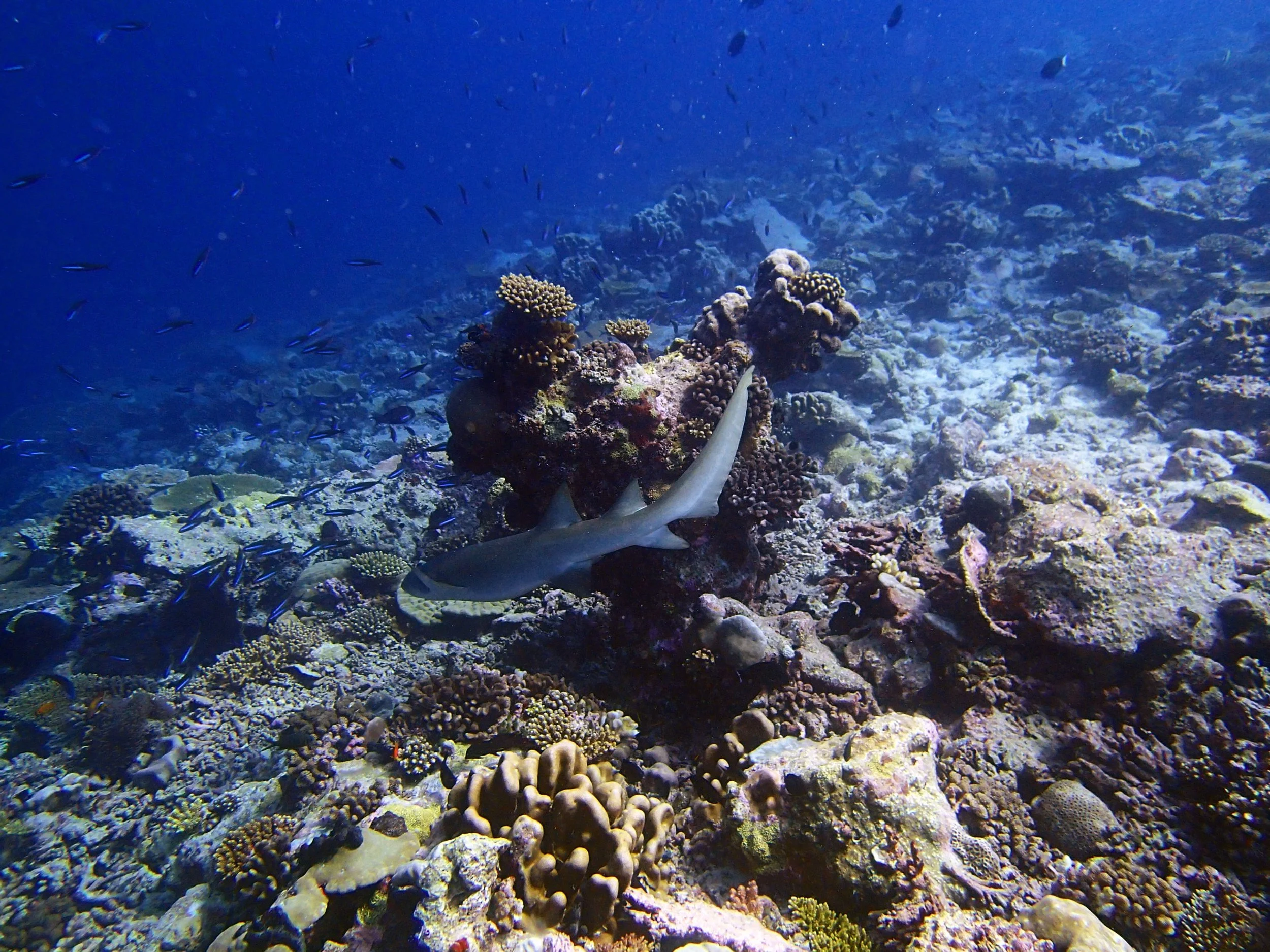 P3260486.jpg