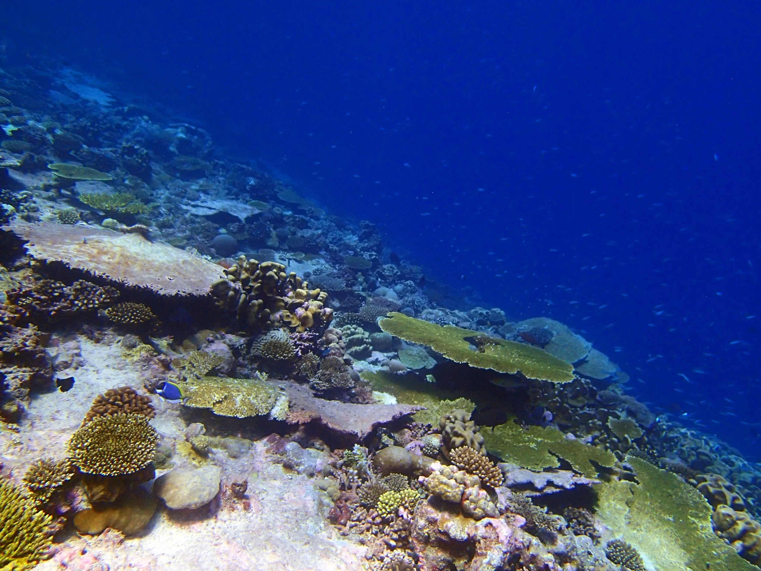 P3260564.jpg
