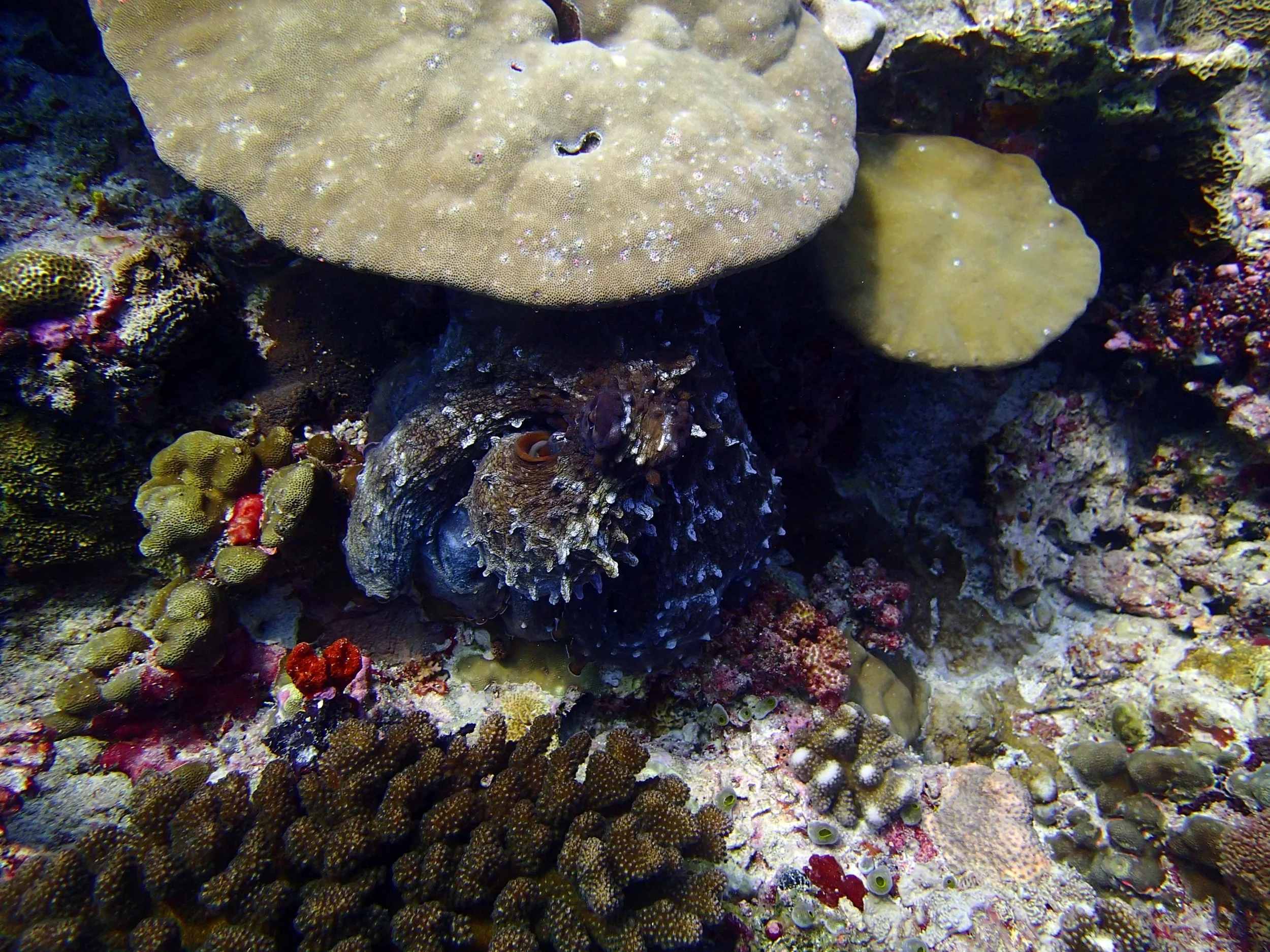P3260433.jpg
