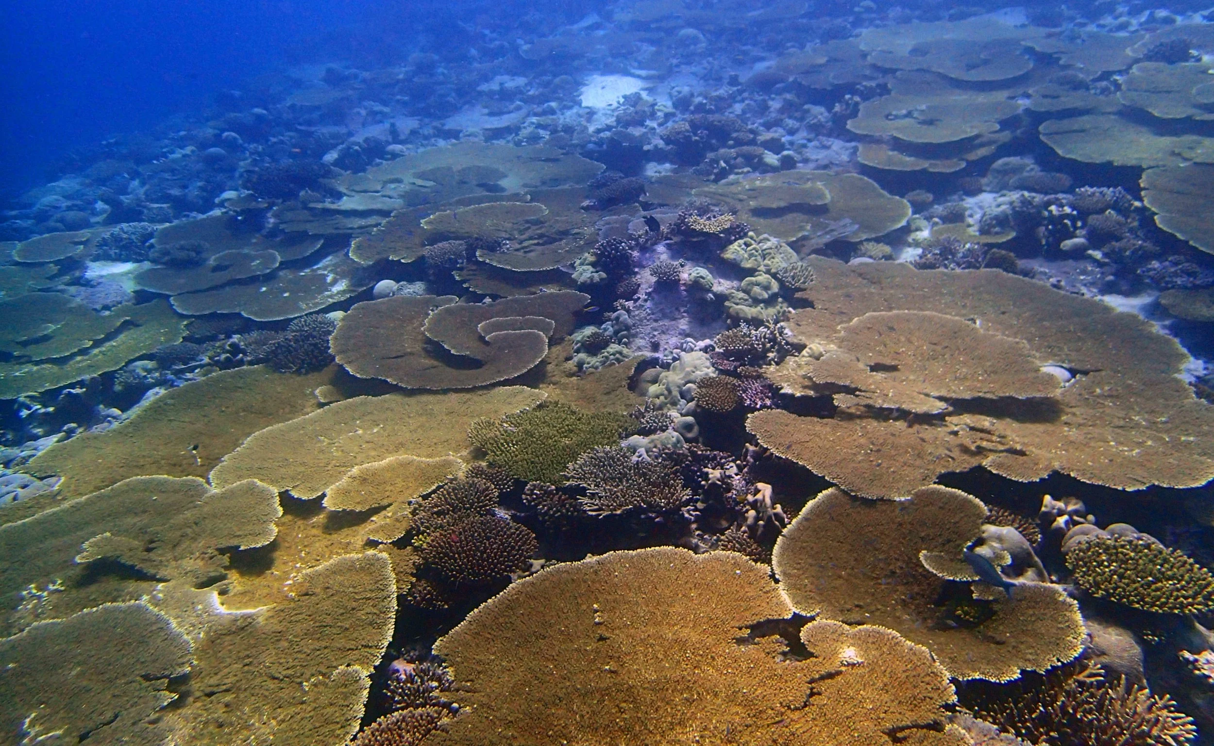 P3260442.jpg