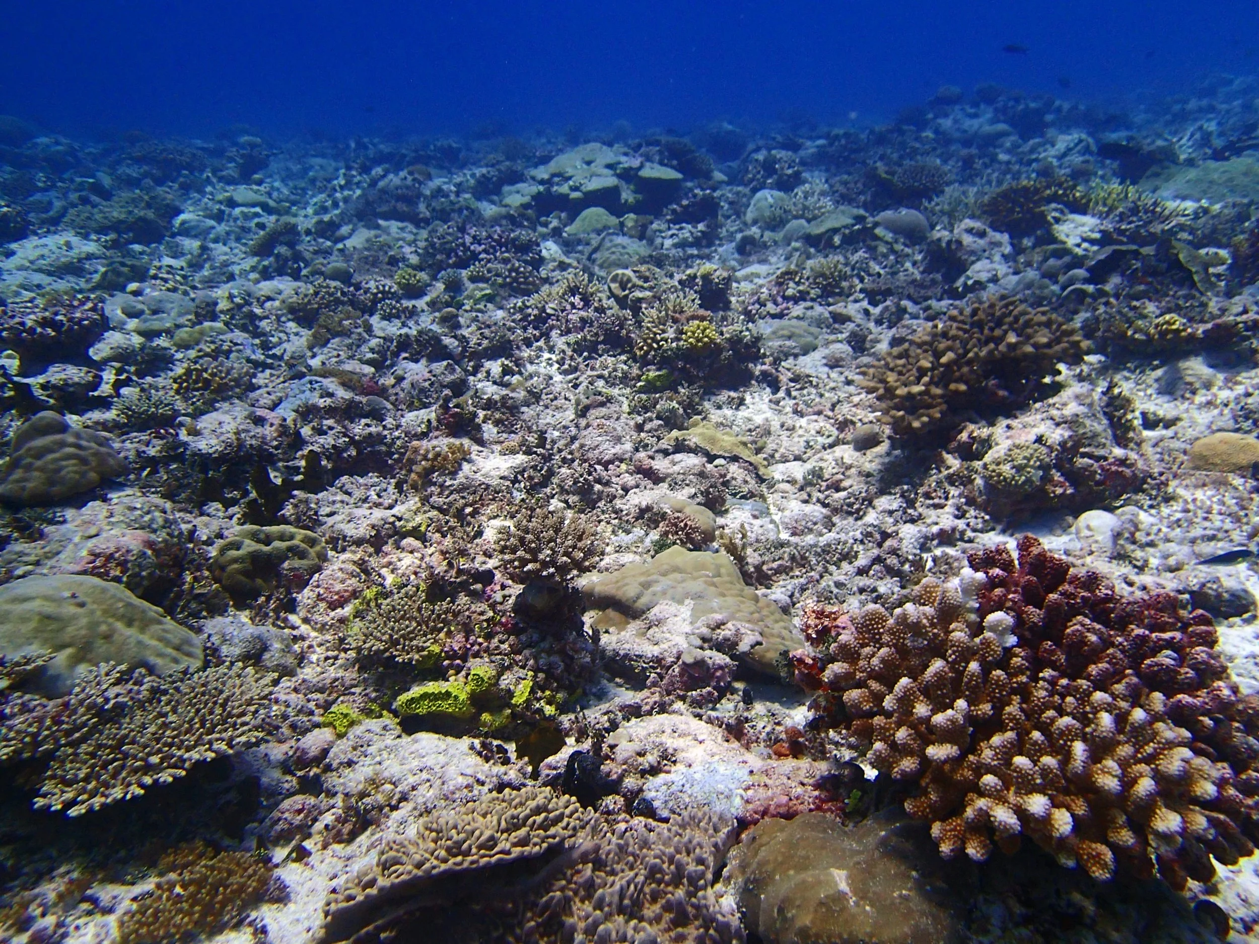 P3270417.jpg