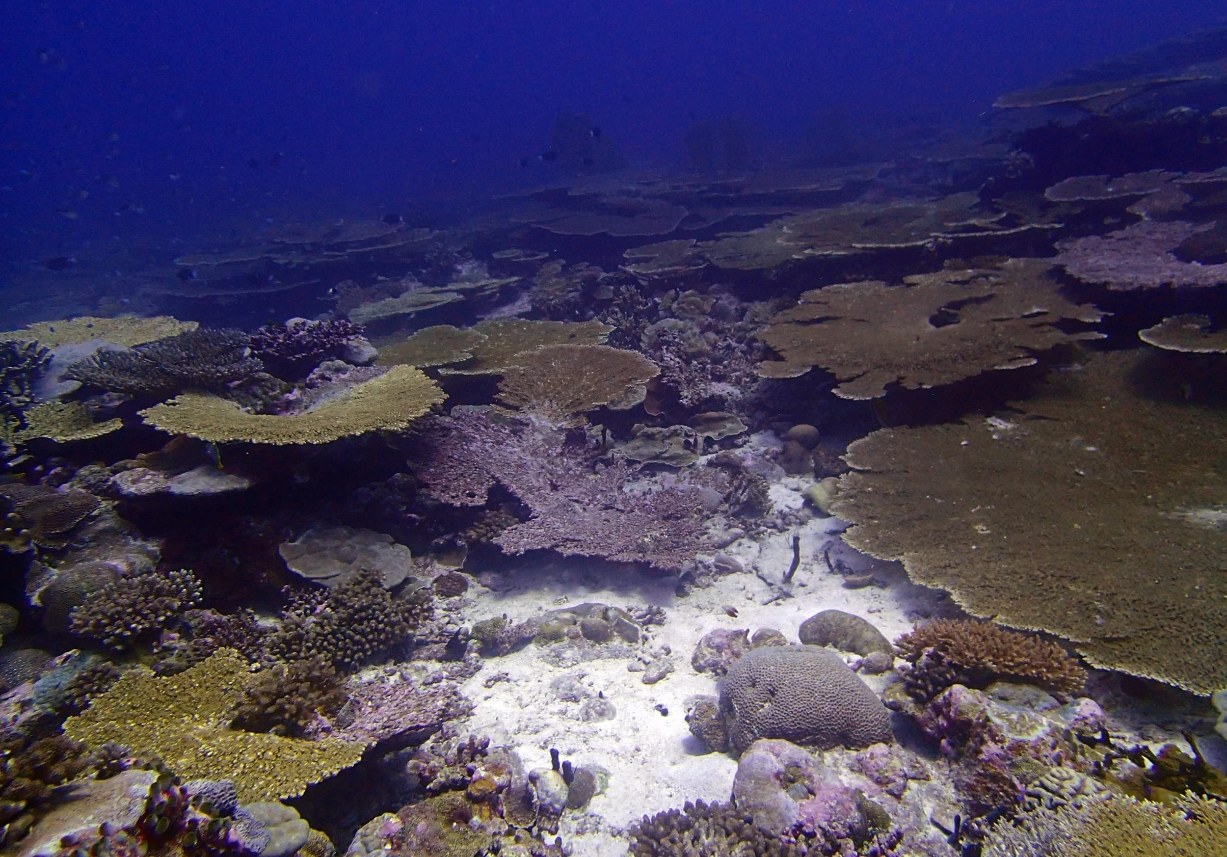 P3270458.jpg