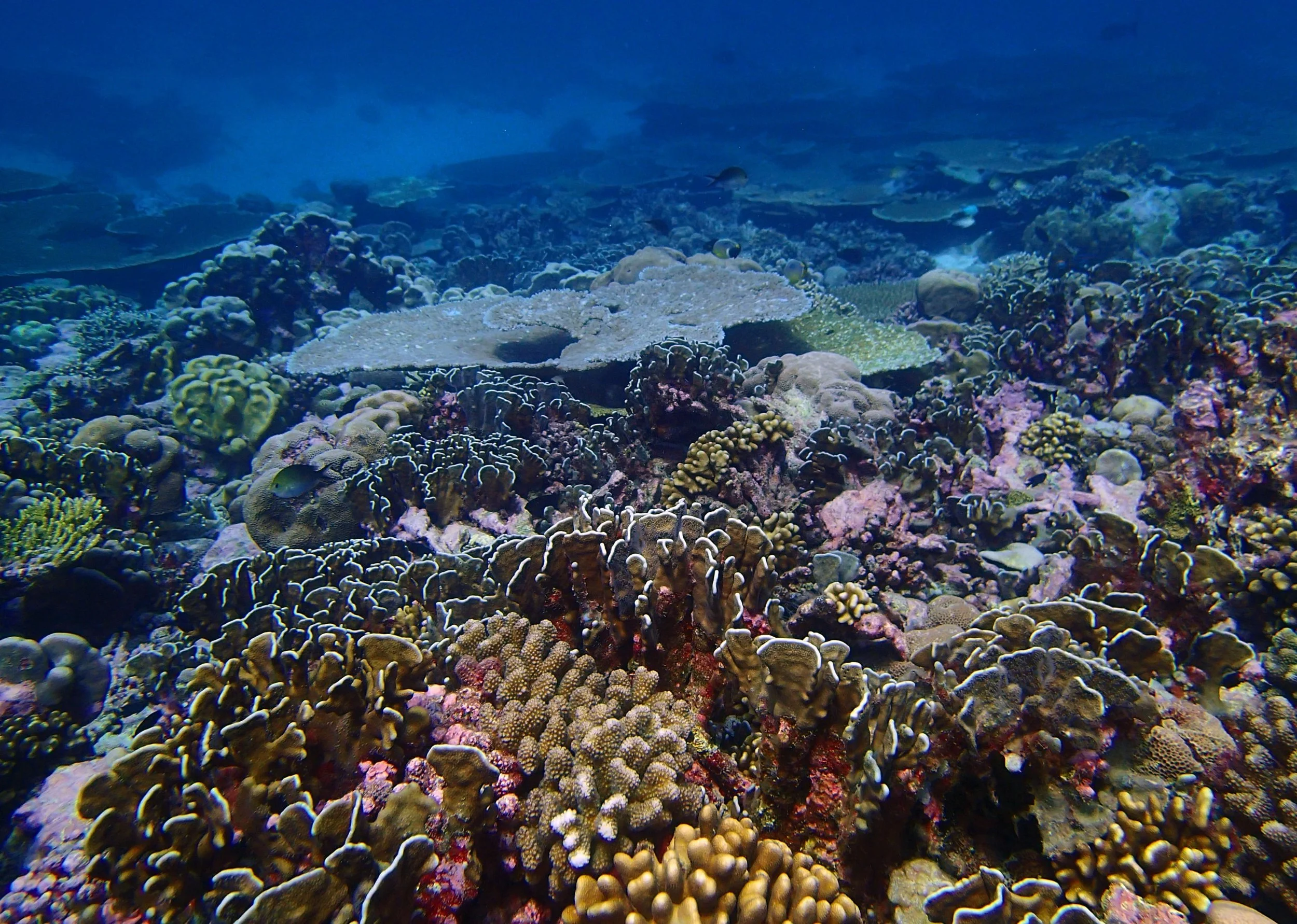 P3270501.jpg