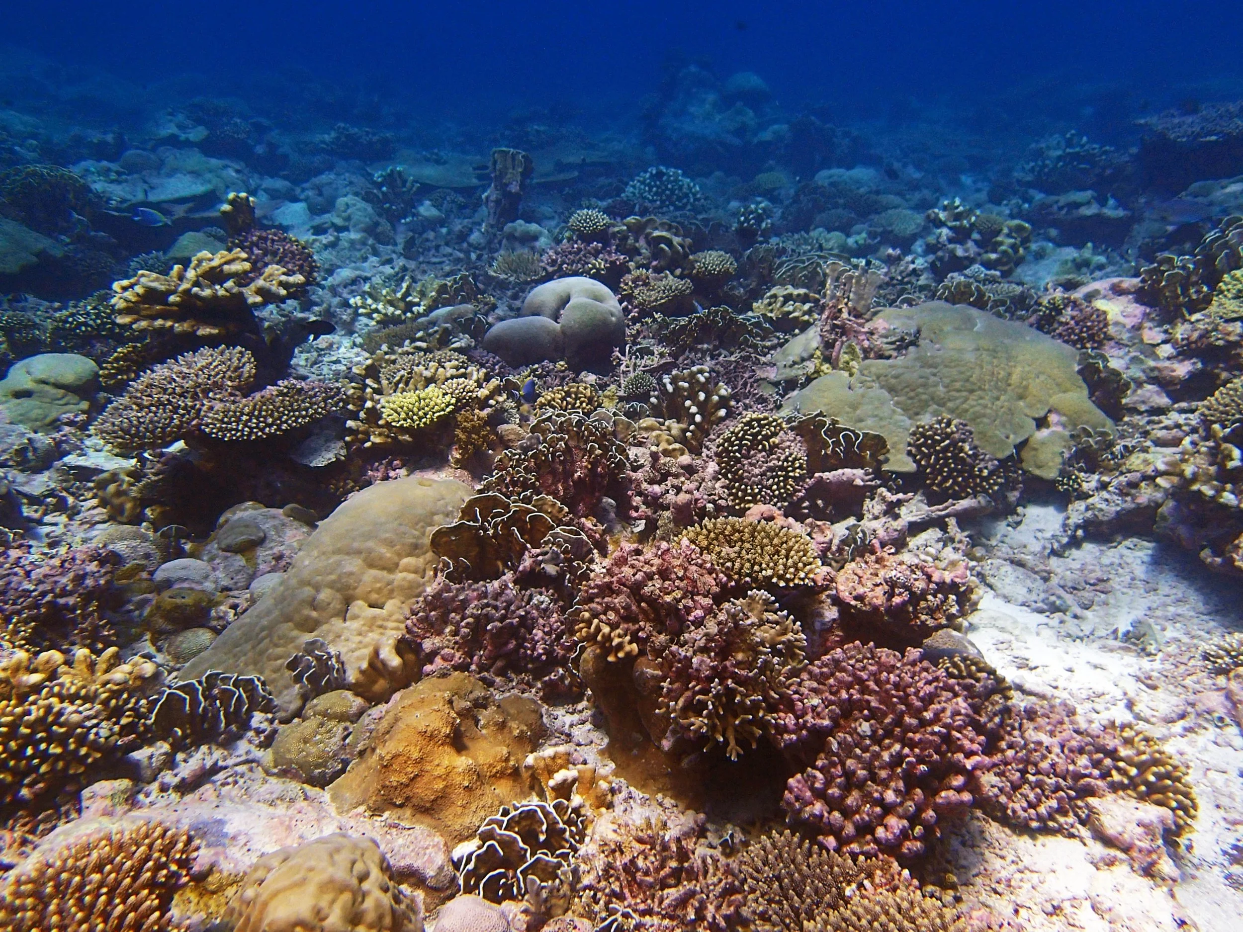 P3270508.jpg