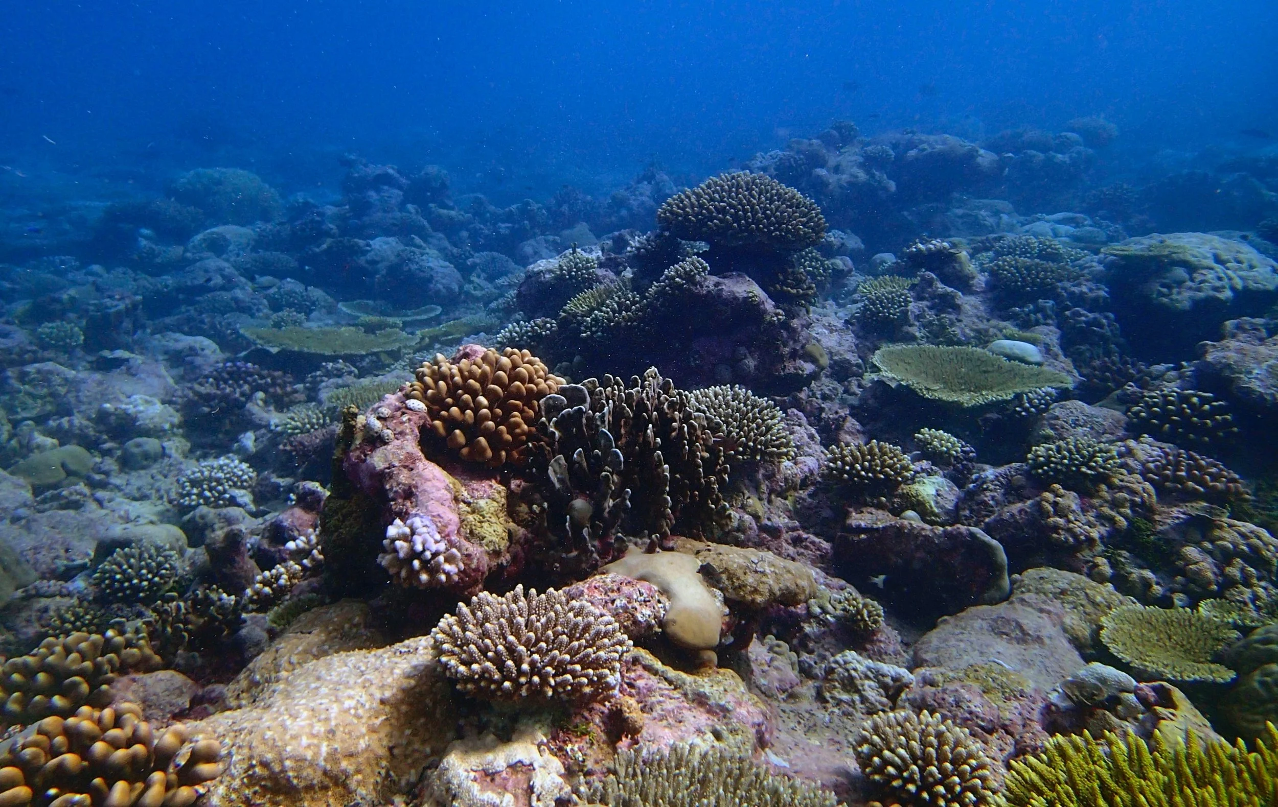 P4140612.jpg