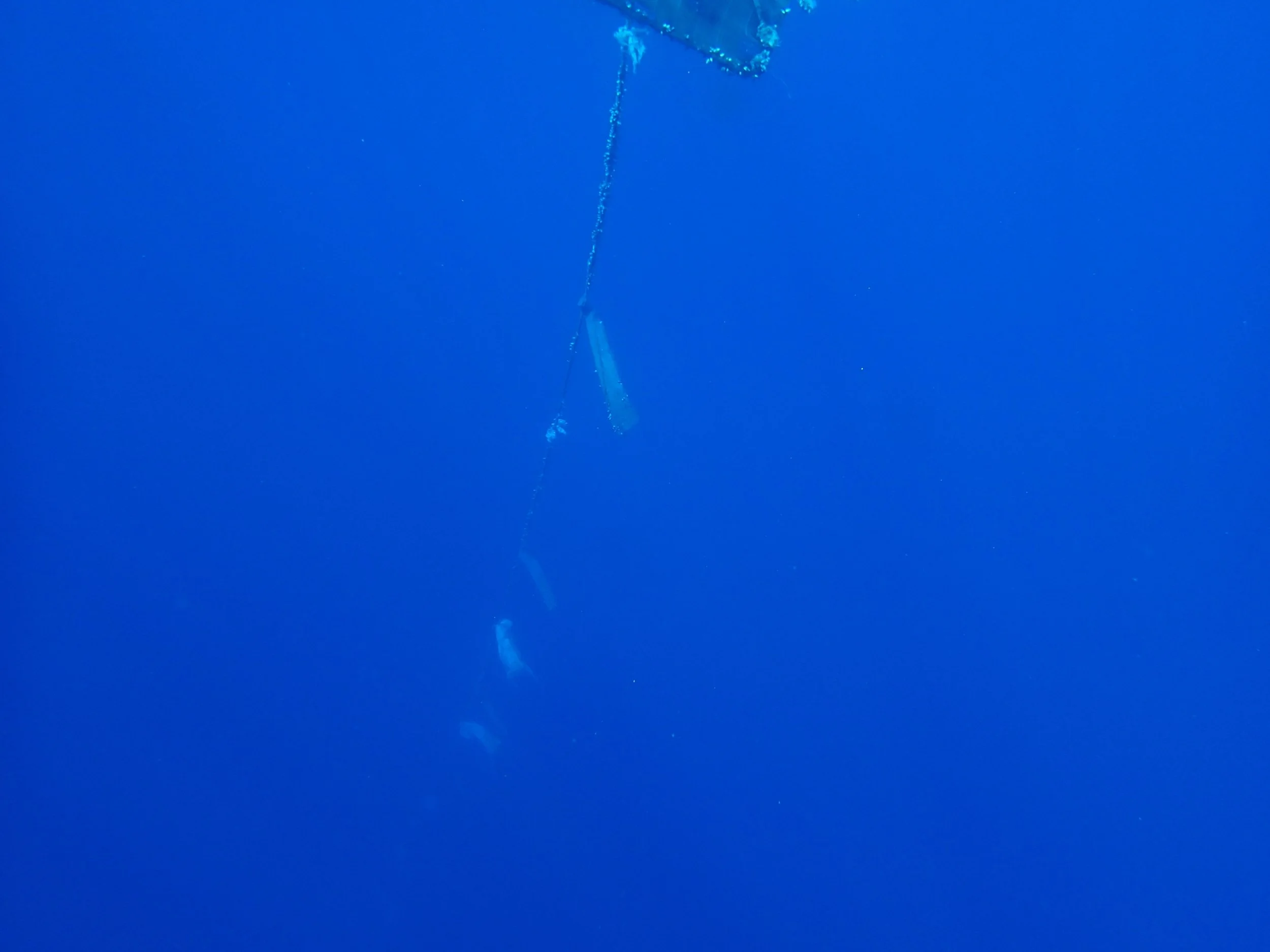 P4140629.jpg