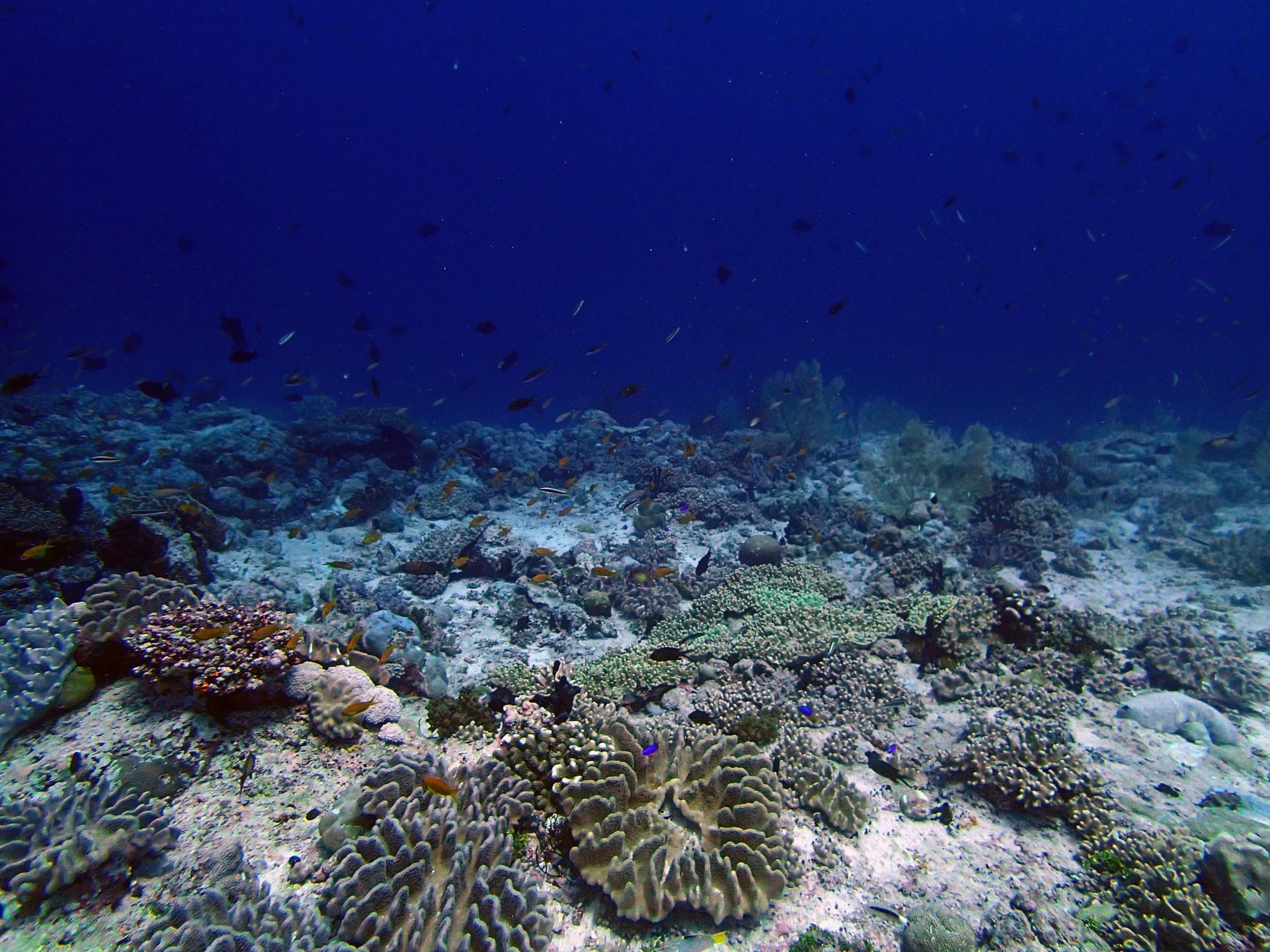 P4140634.jpg