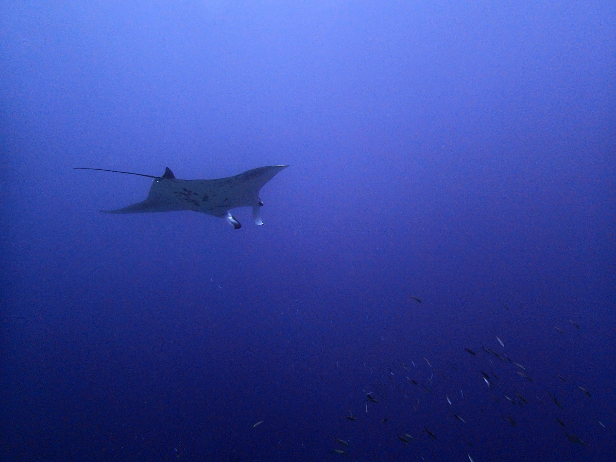 P4140664.jpg