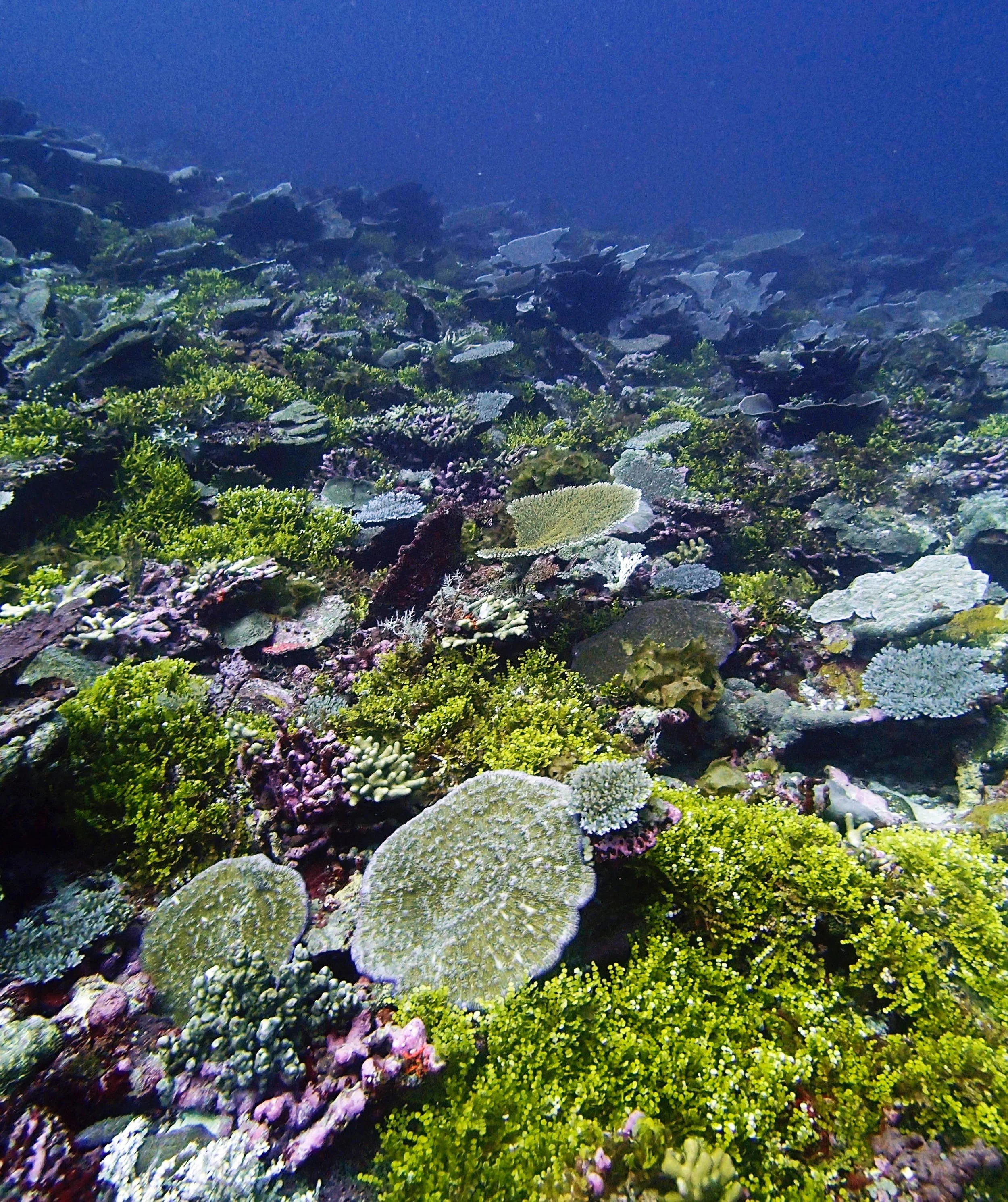 P4140575.jpg