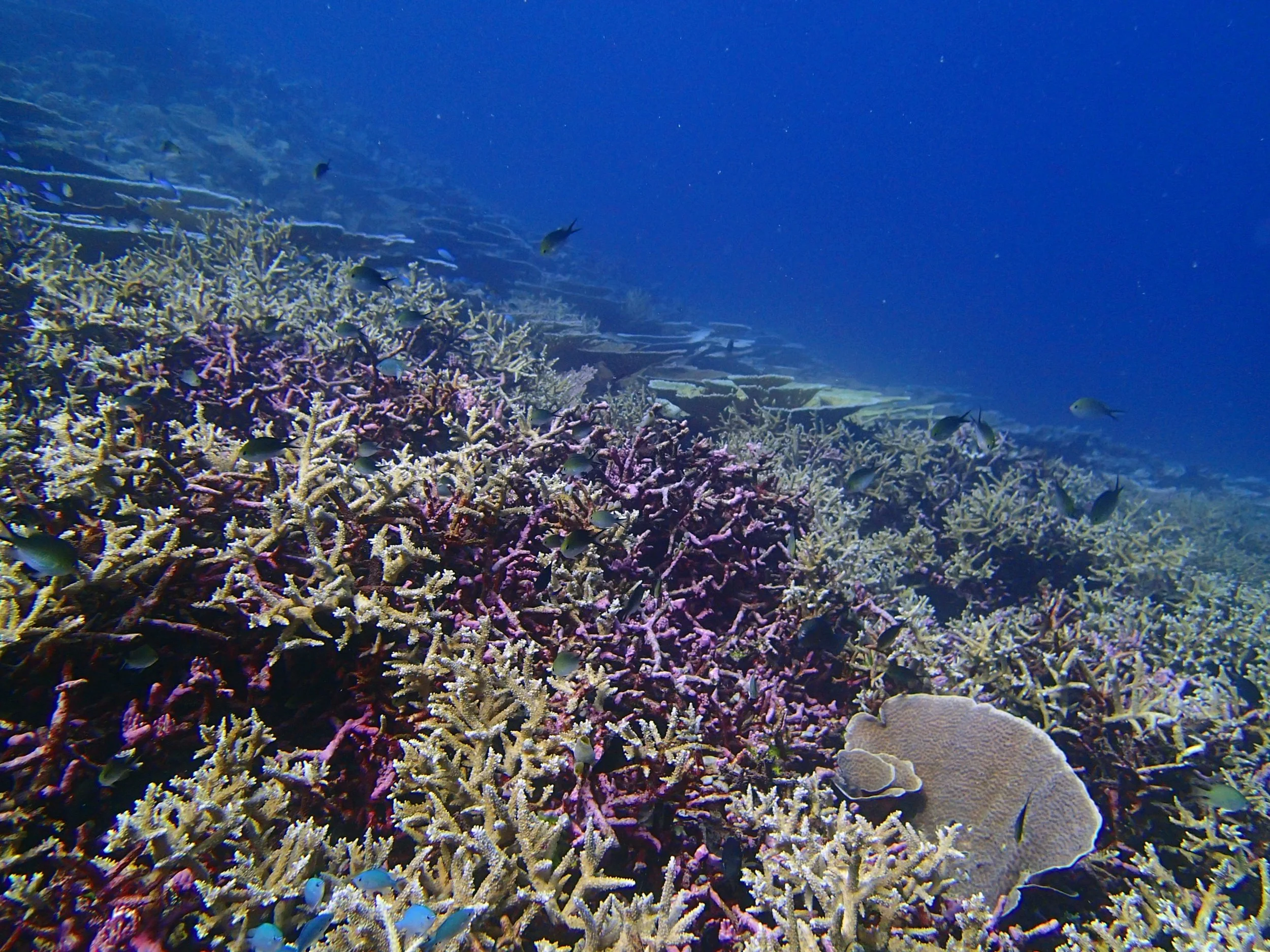P4140618.jpg