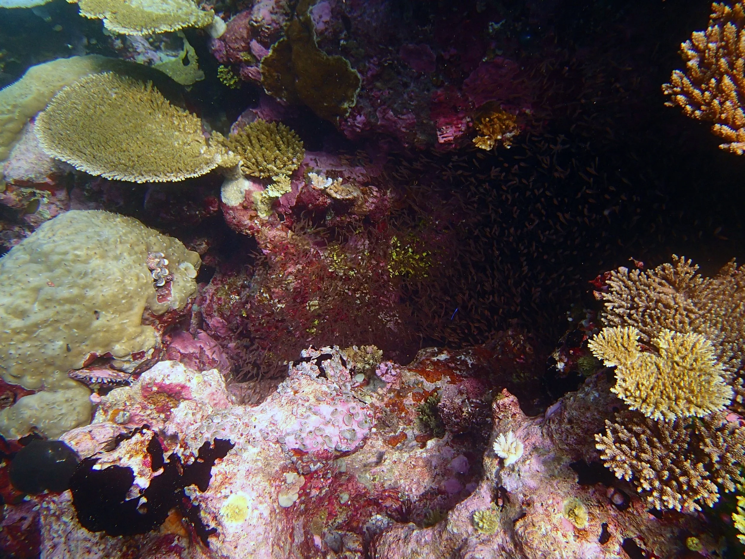 P4140658.jpg