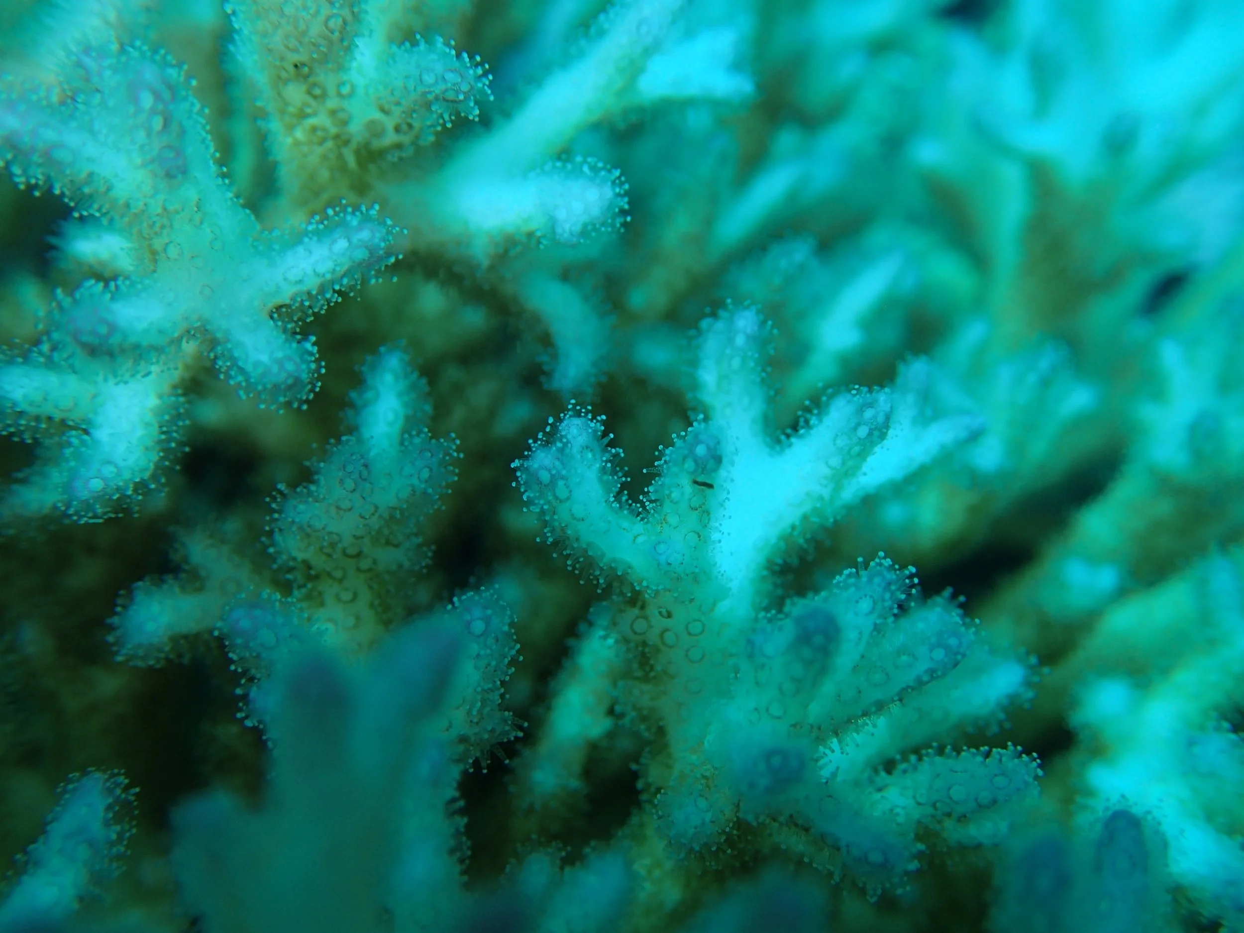 P4140645.jpg
