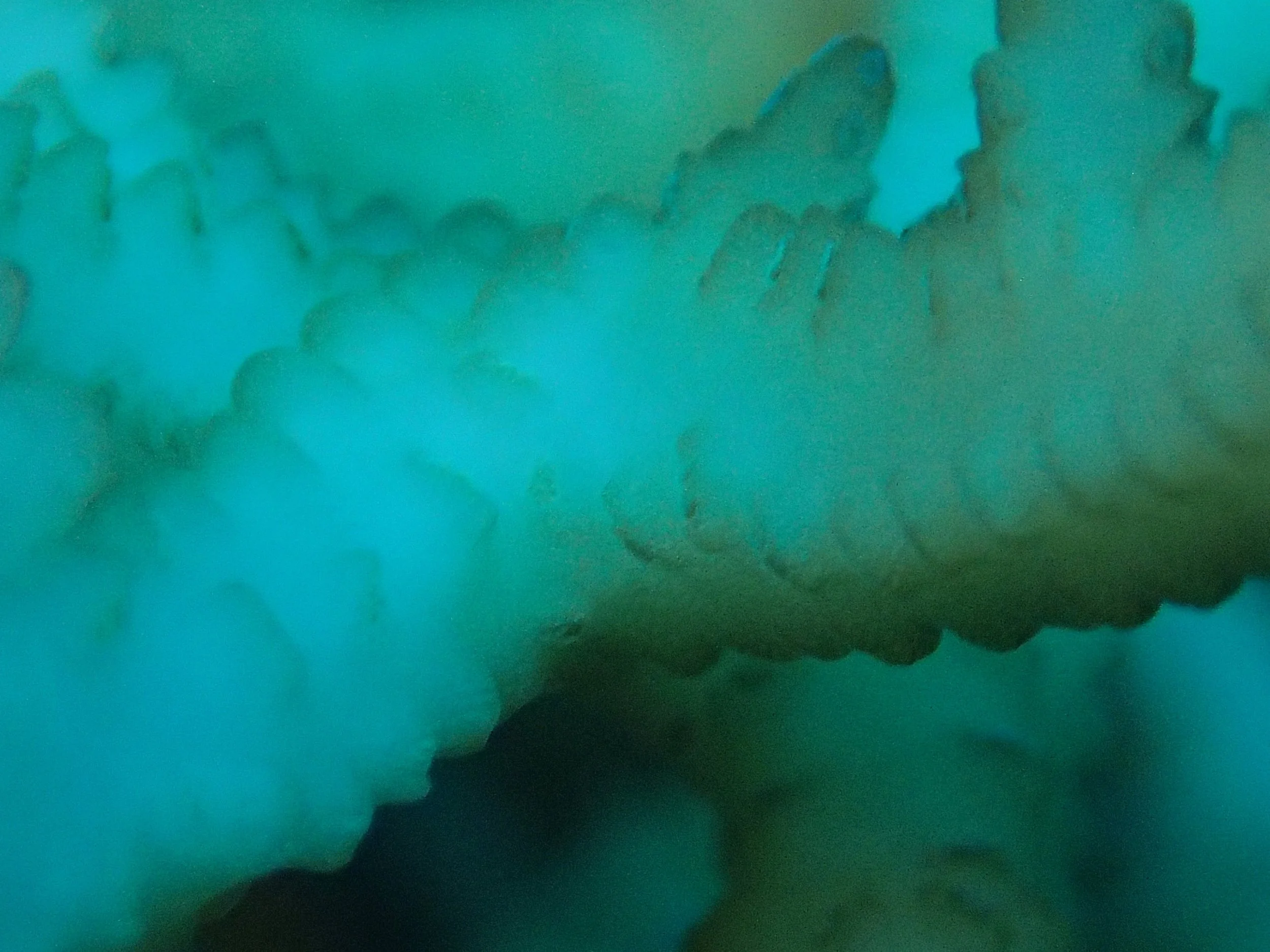 P4140572.jpg
