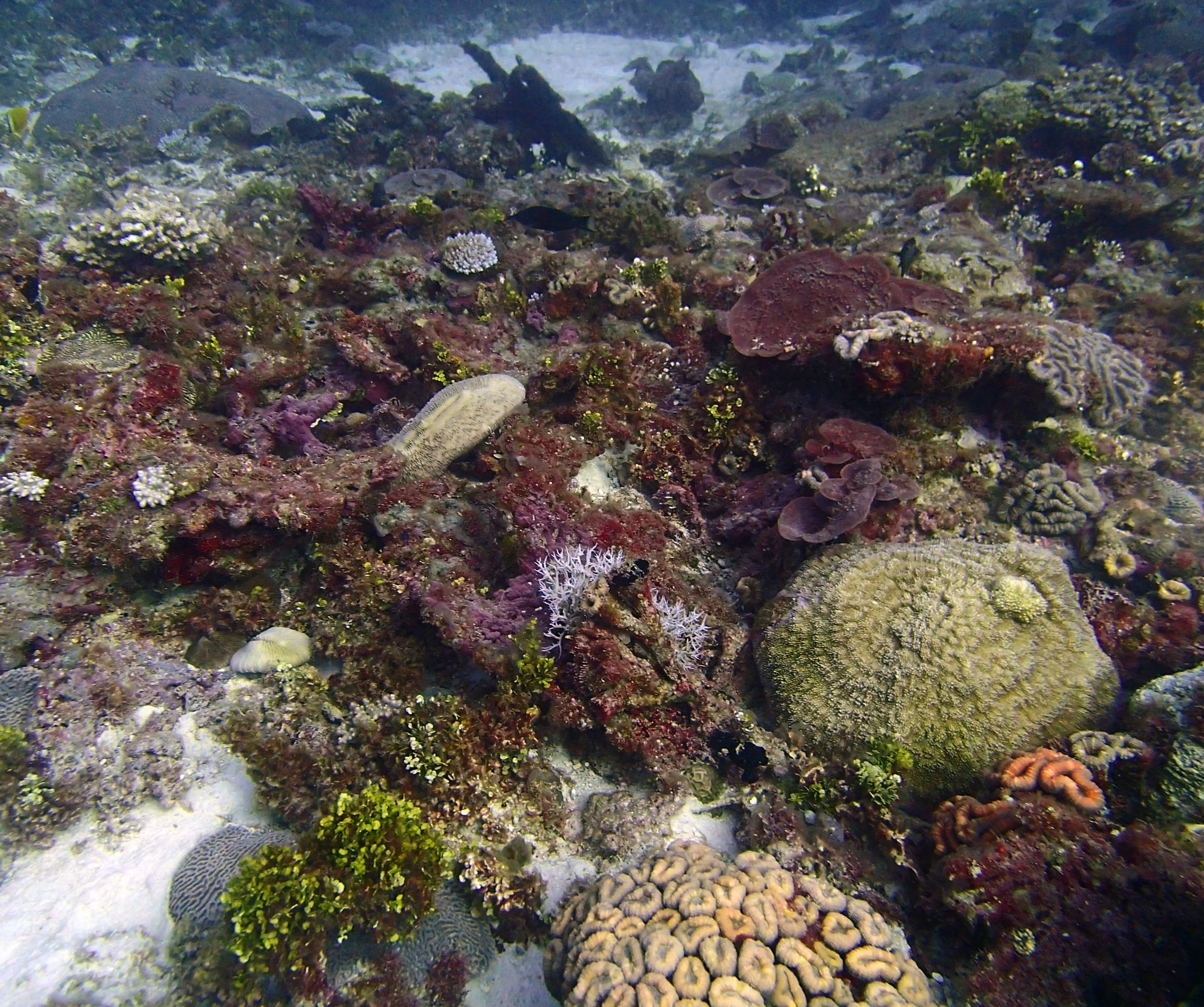 P4150577.jpg