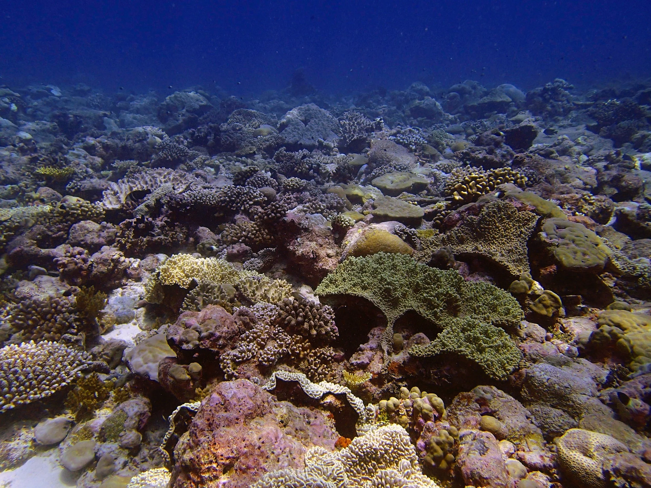 P4150691.jpg