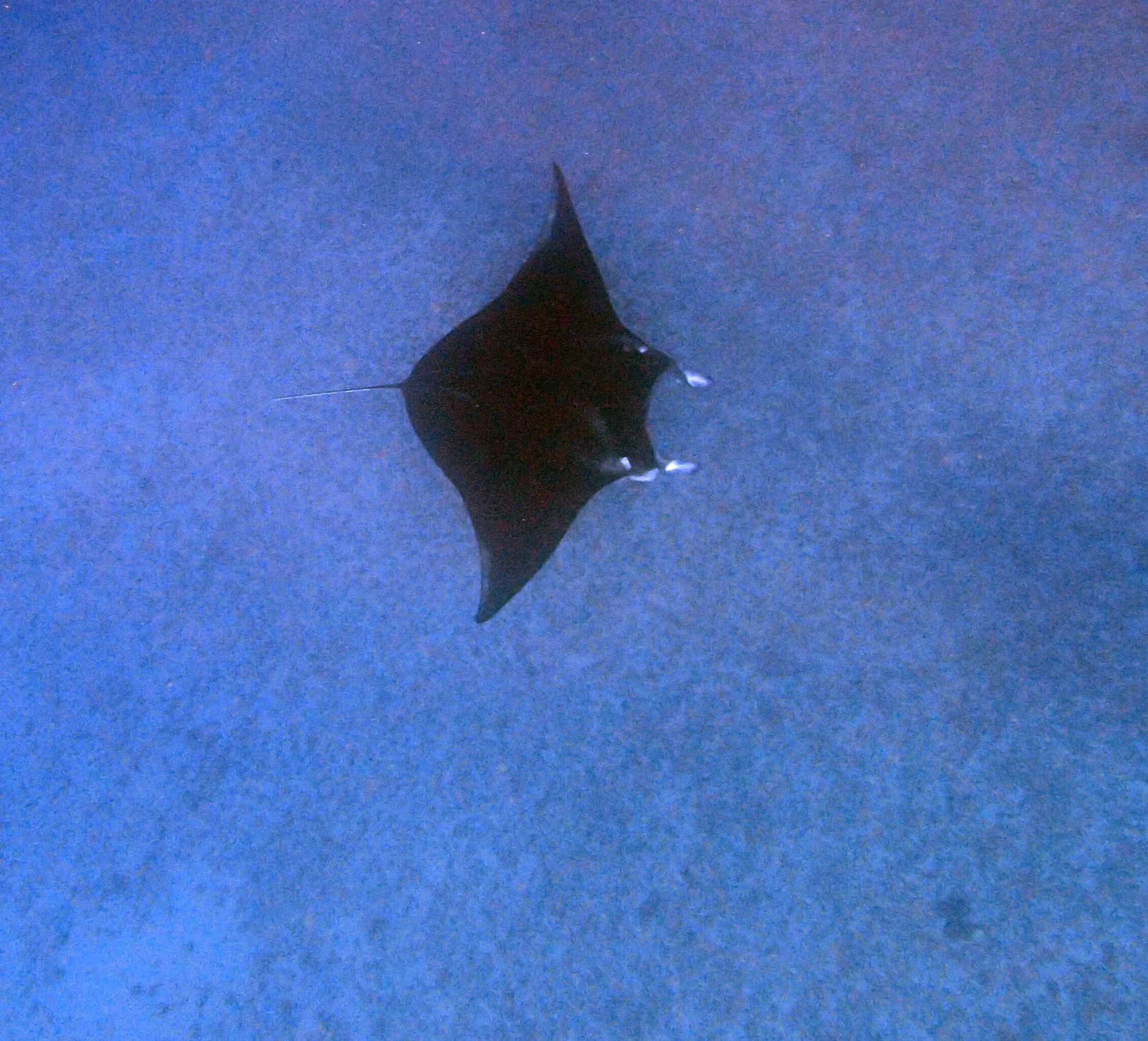 P4160586.jpg