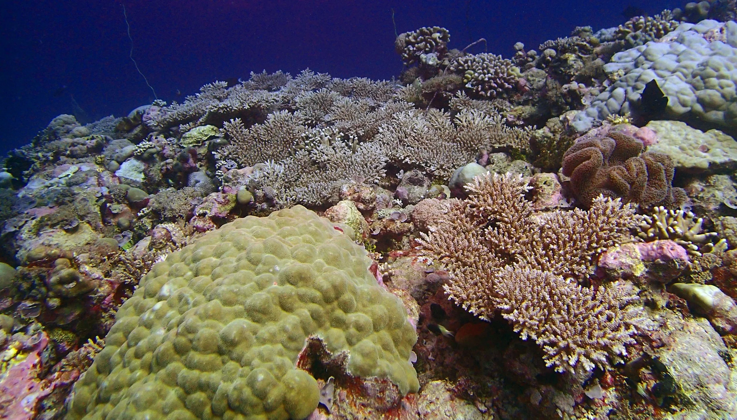 P4160605.jpg
