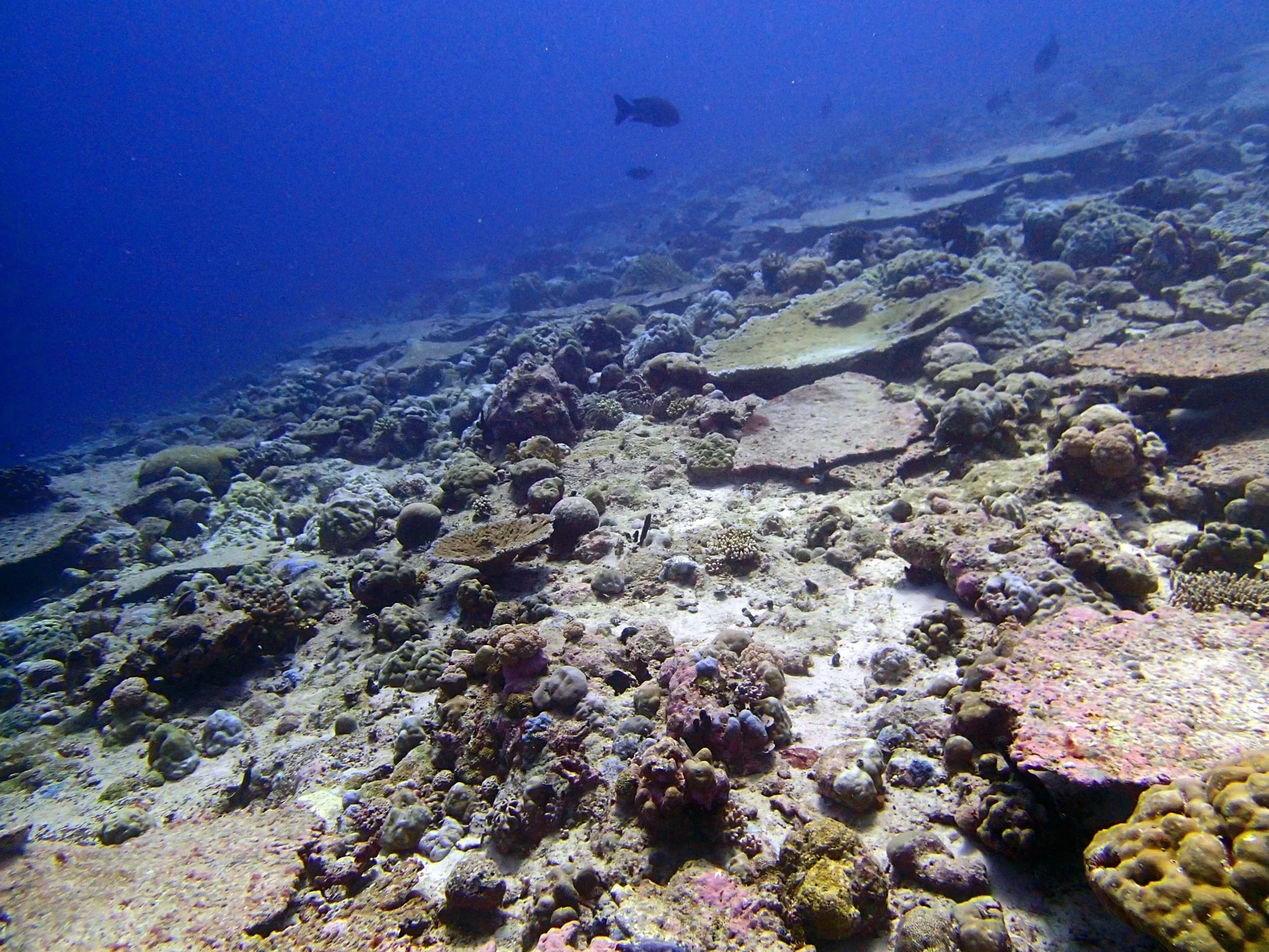 P4160616.jpg