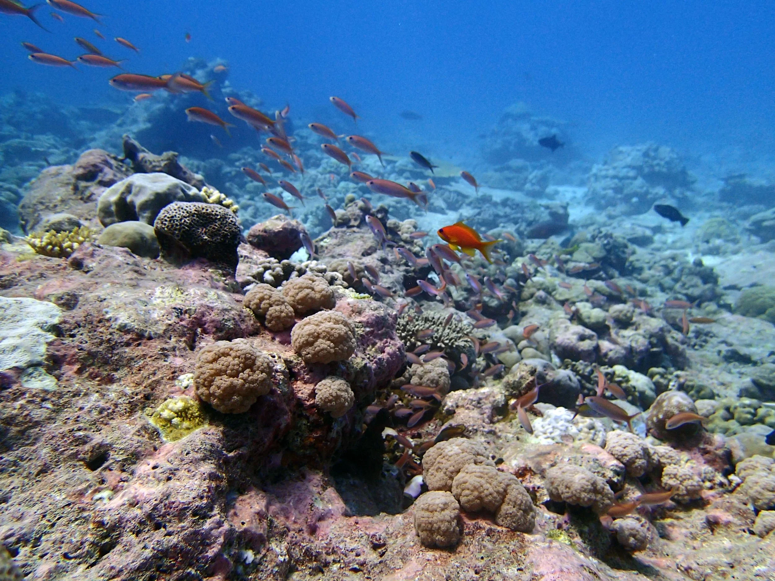 P4160625.jpg