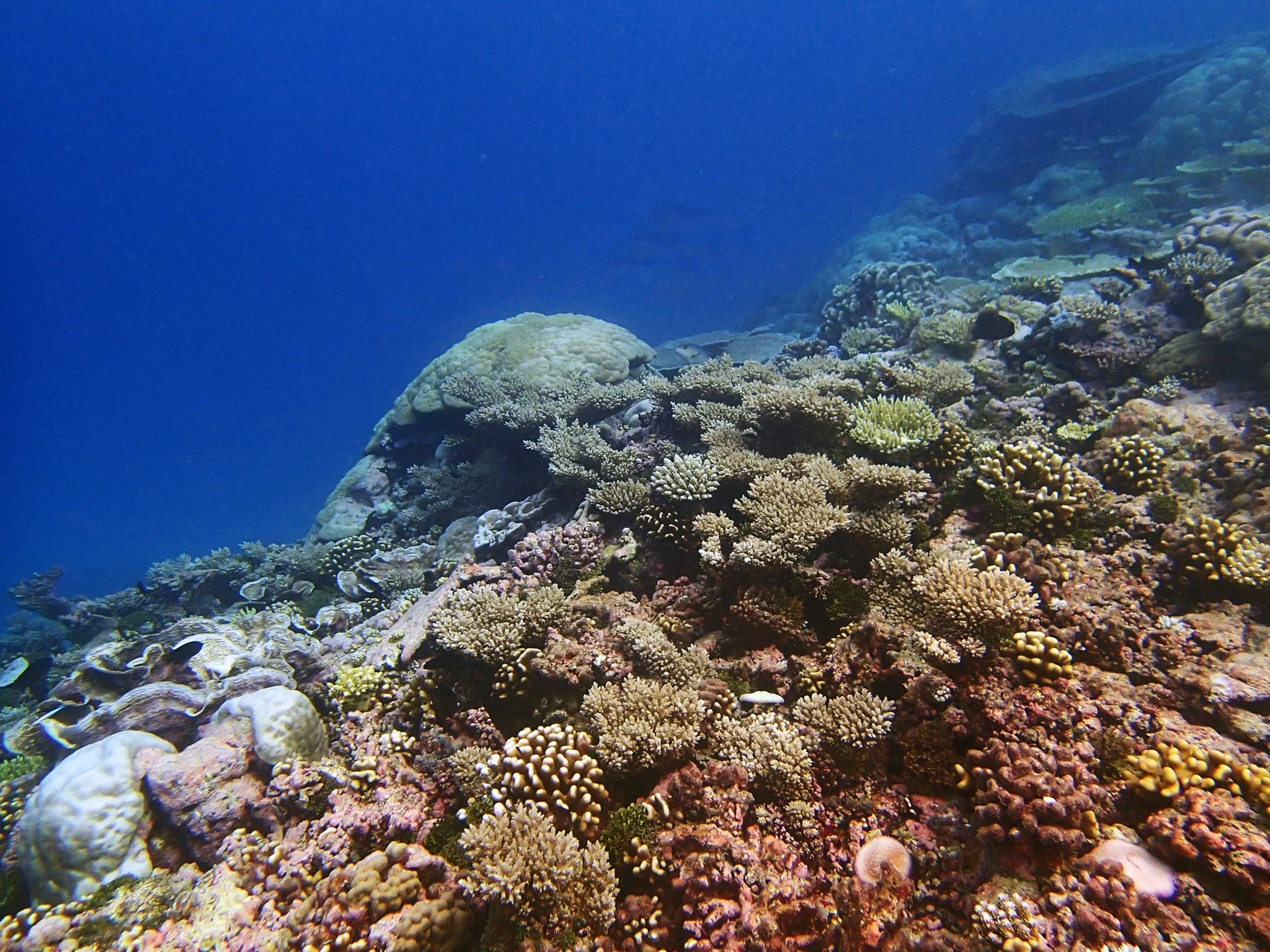 P4160764.jpg