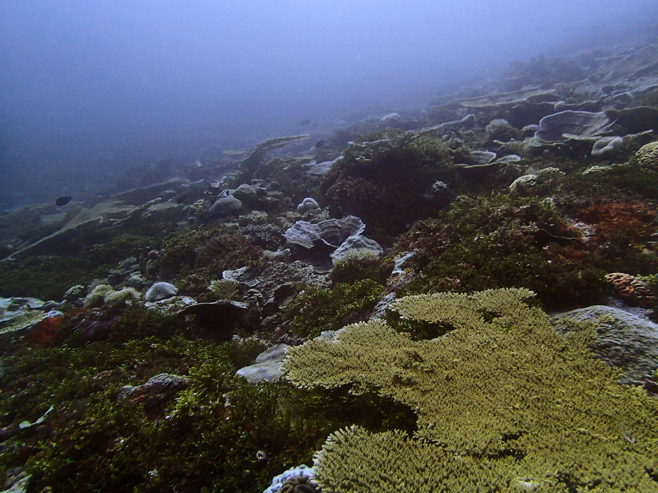 P4170663.jpg