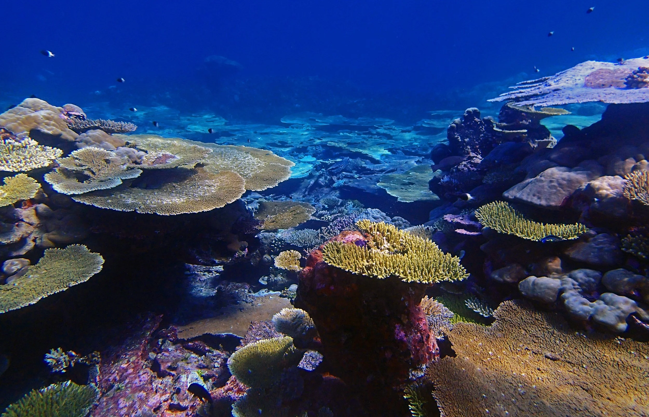 P4170771.jpg