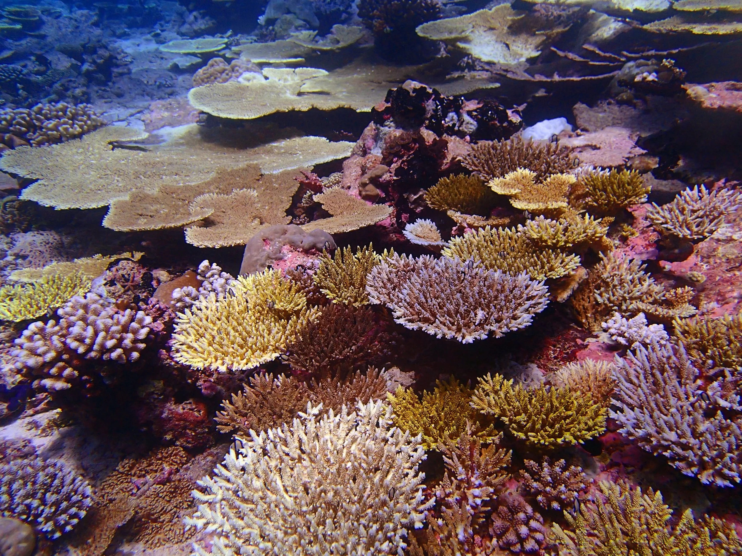 P4170867.jpg