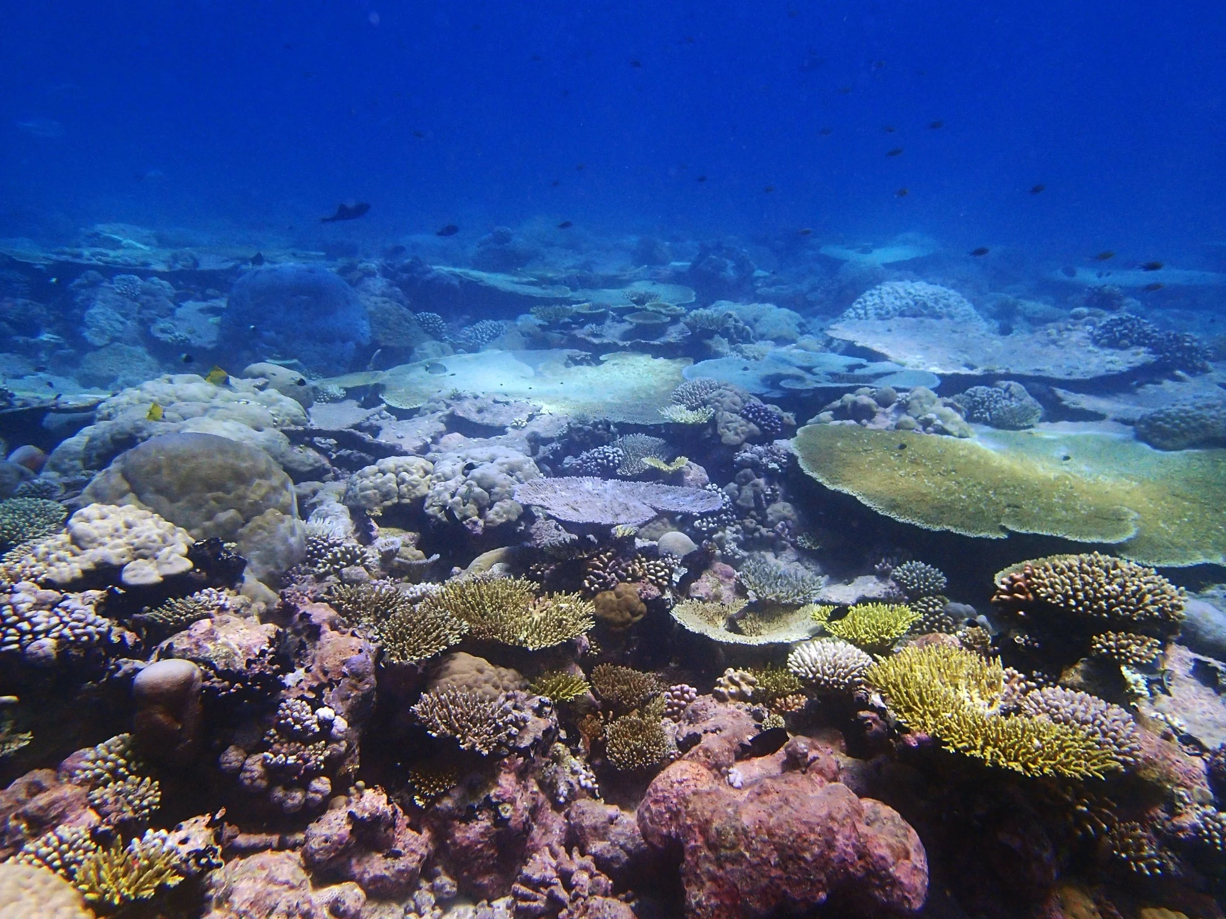 P4180821.jpg