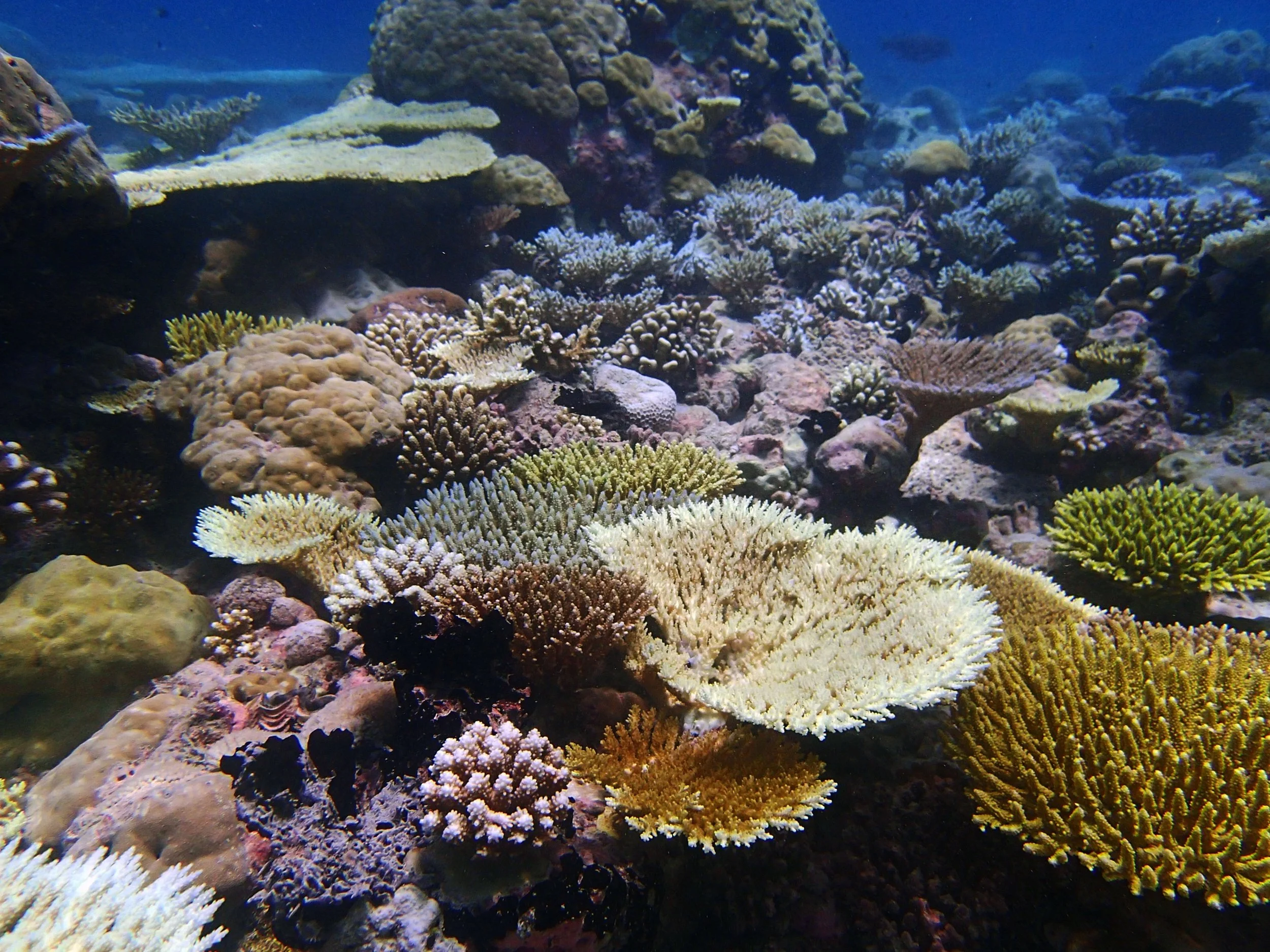P4180826.jpg