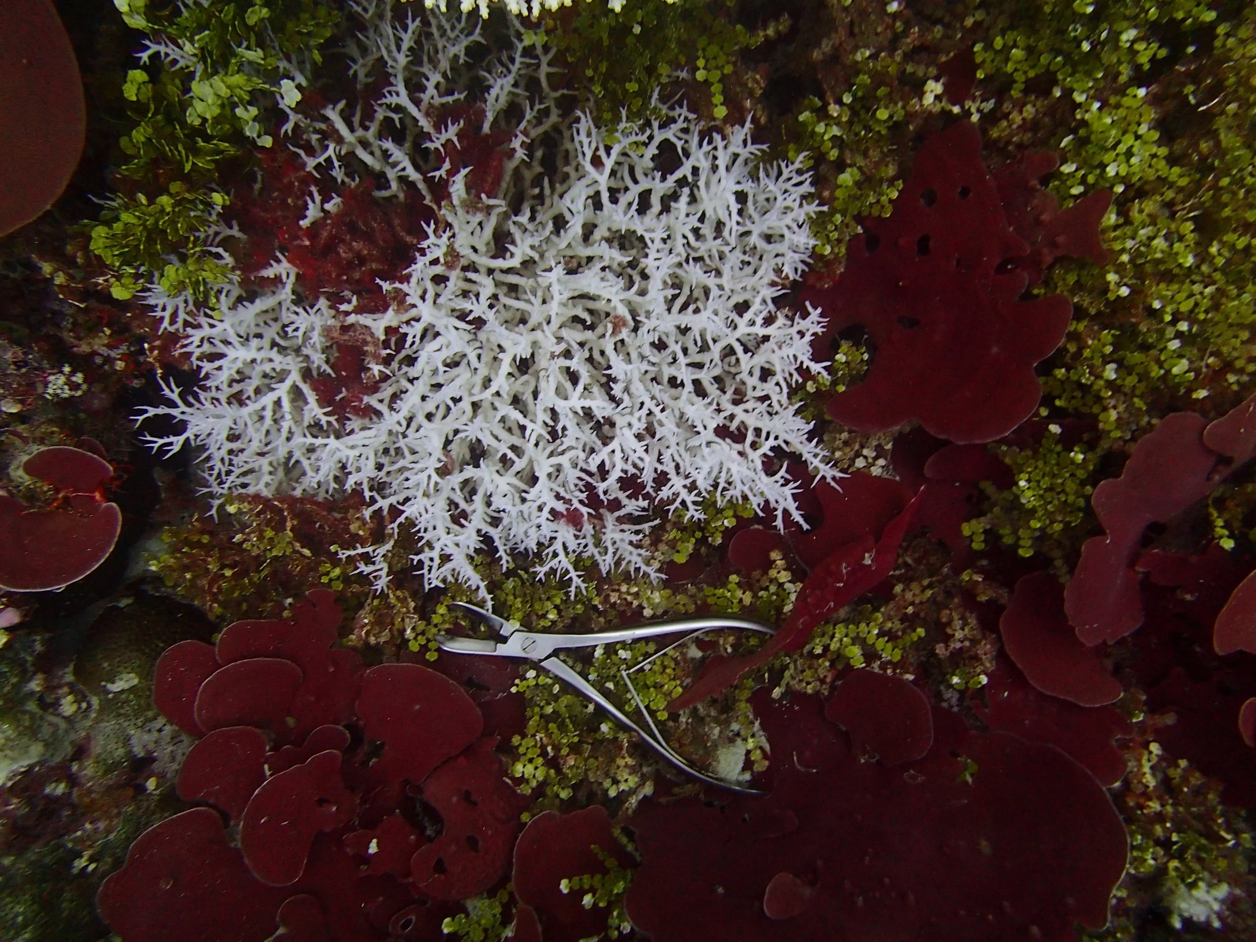 P4180854.jpg