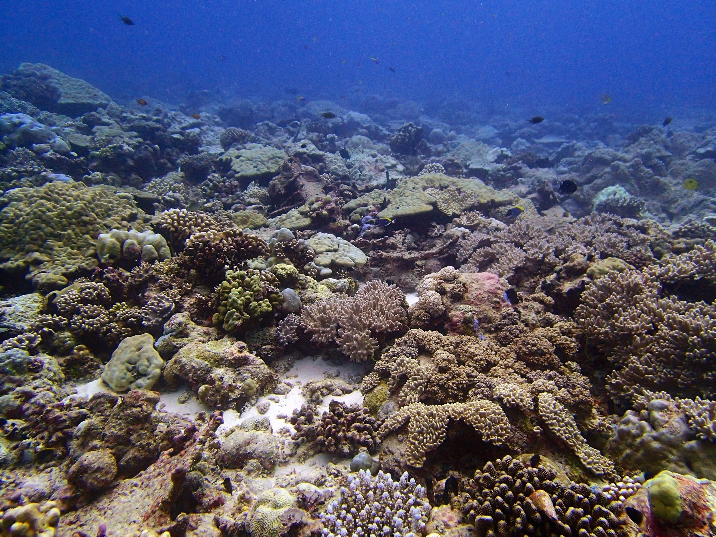 P4190866.jpg