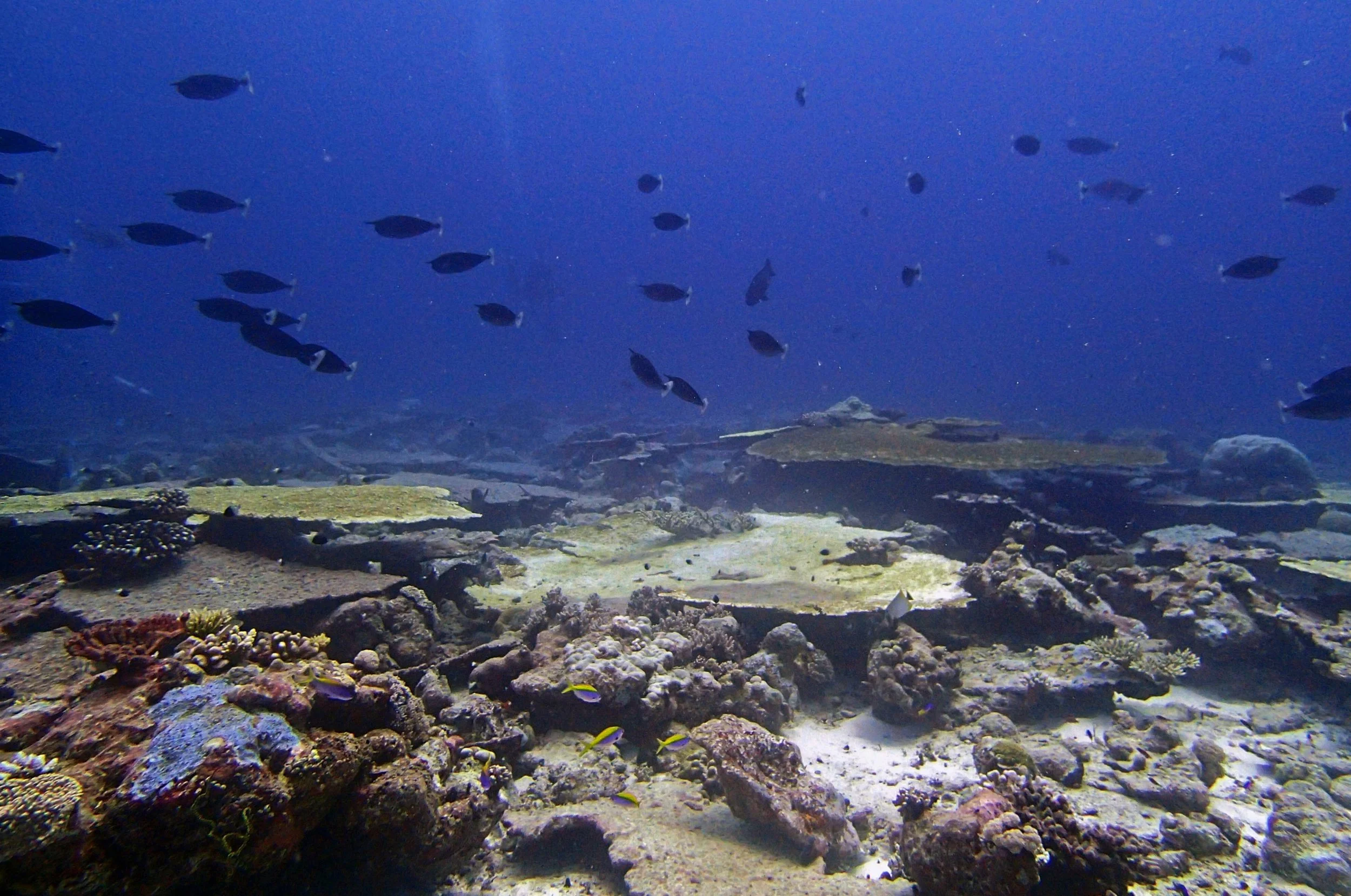 P4190900.jpg
