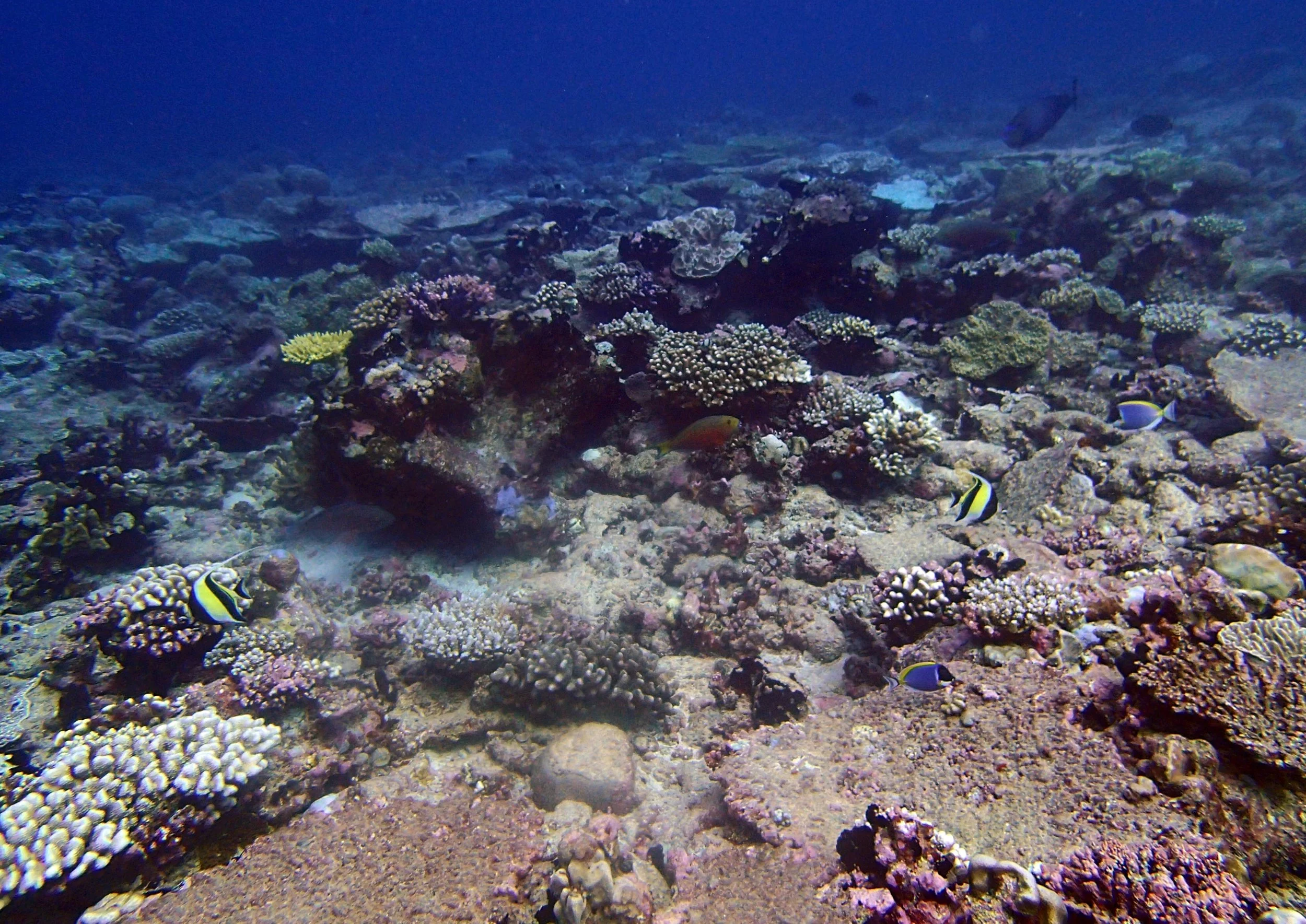 P4200871.jpg