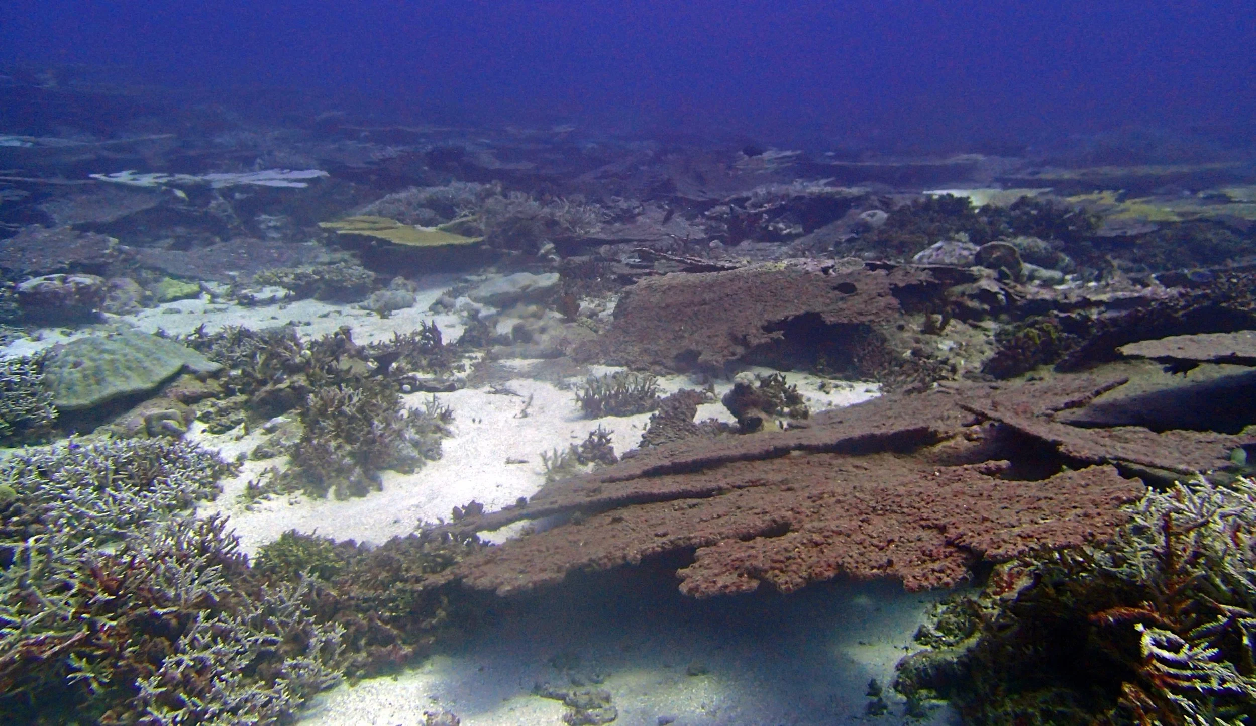 P4210863.jpg