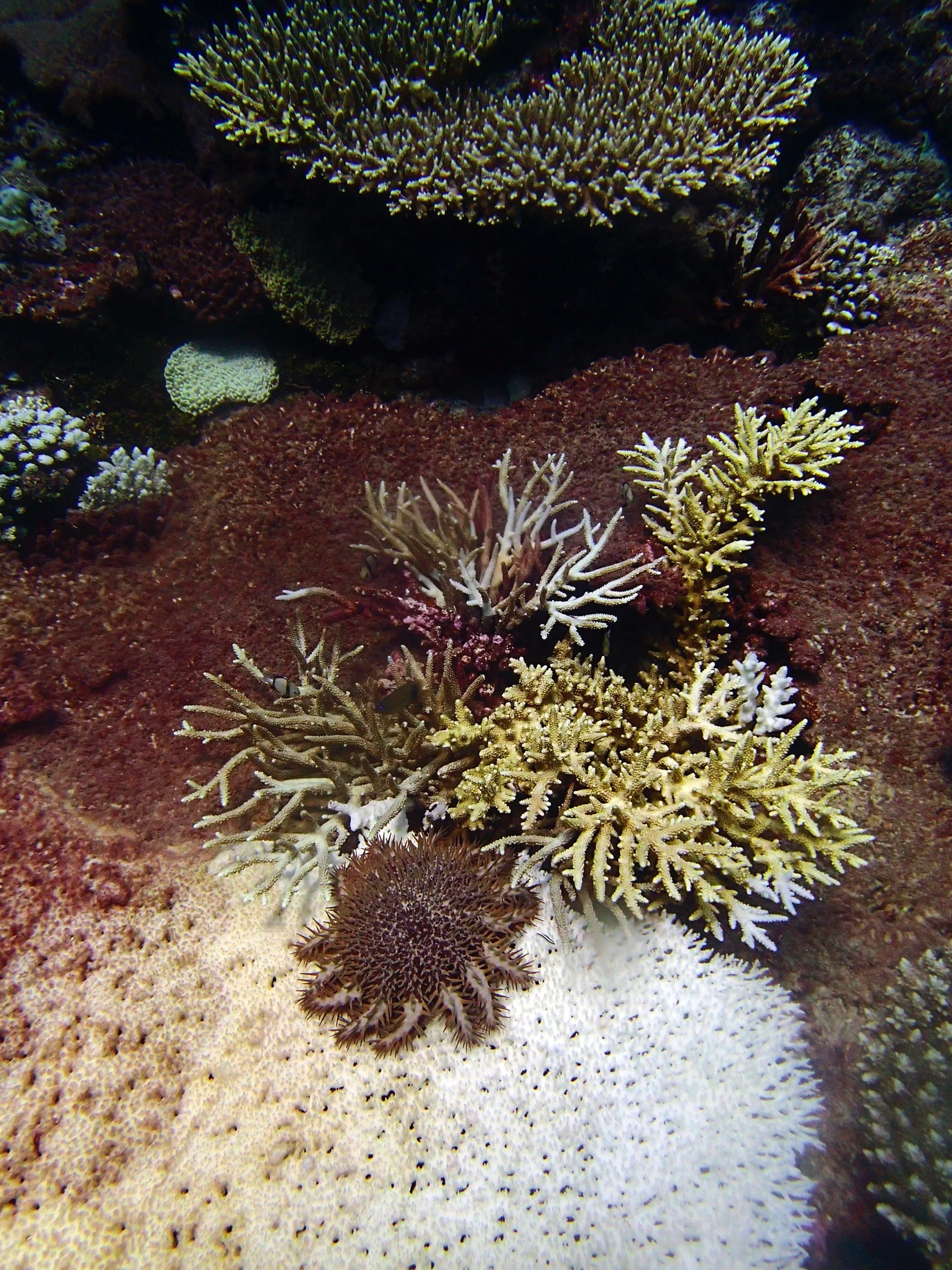 P4210911.jpg