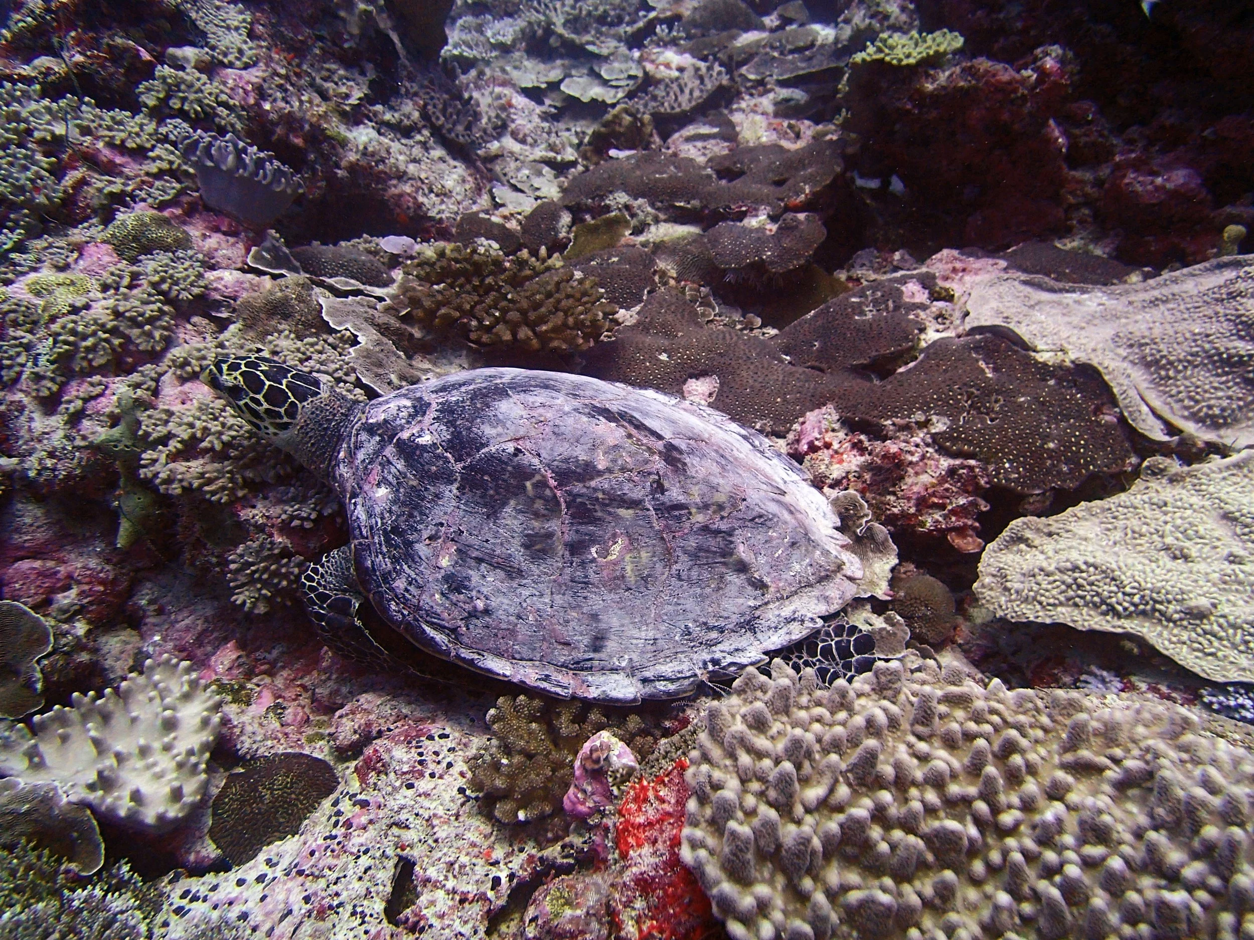 P4220913.jpg