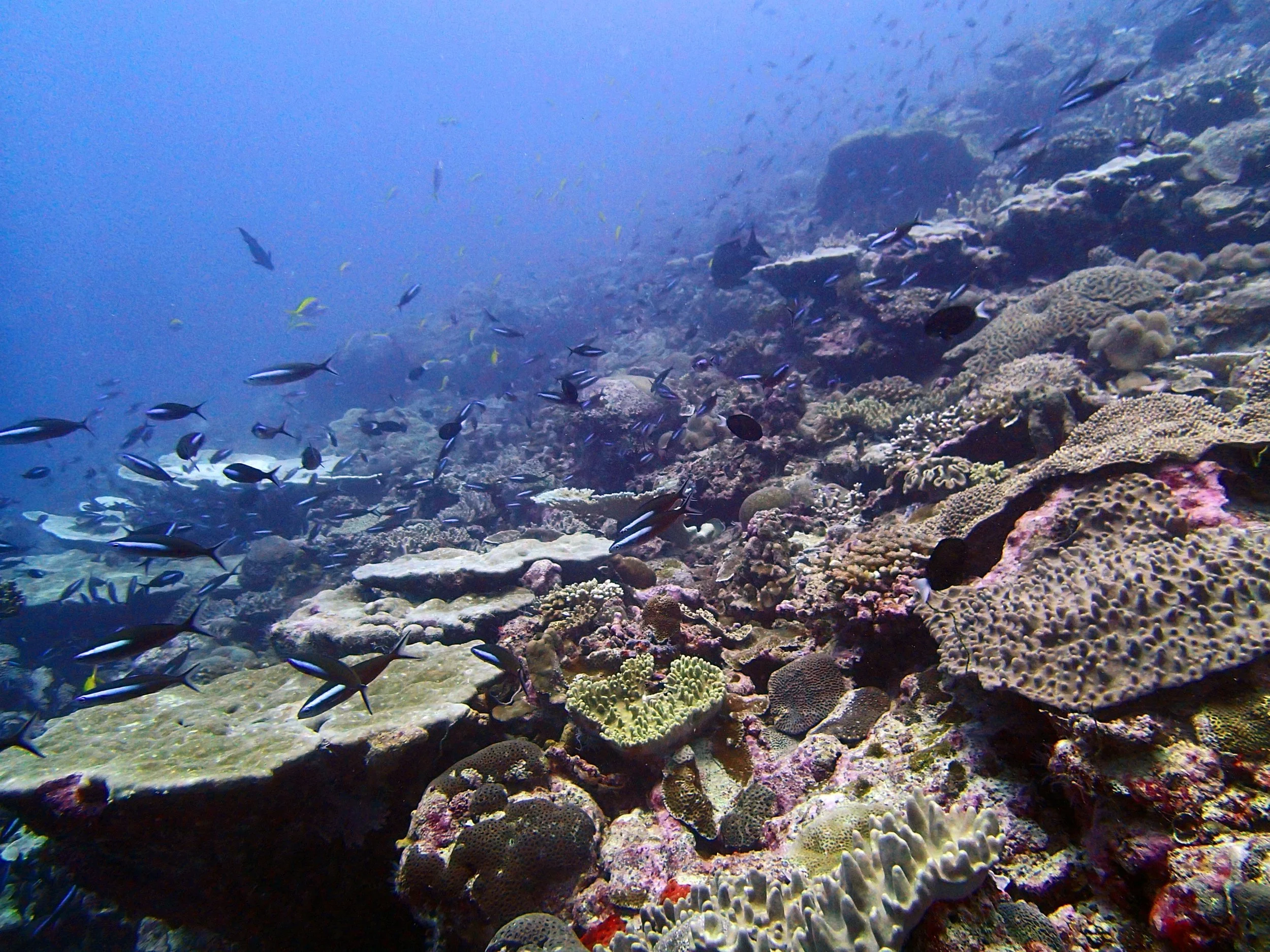 P4220916.jpg