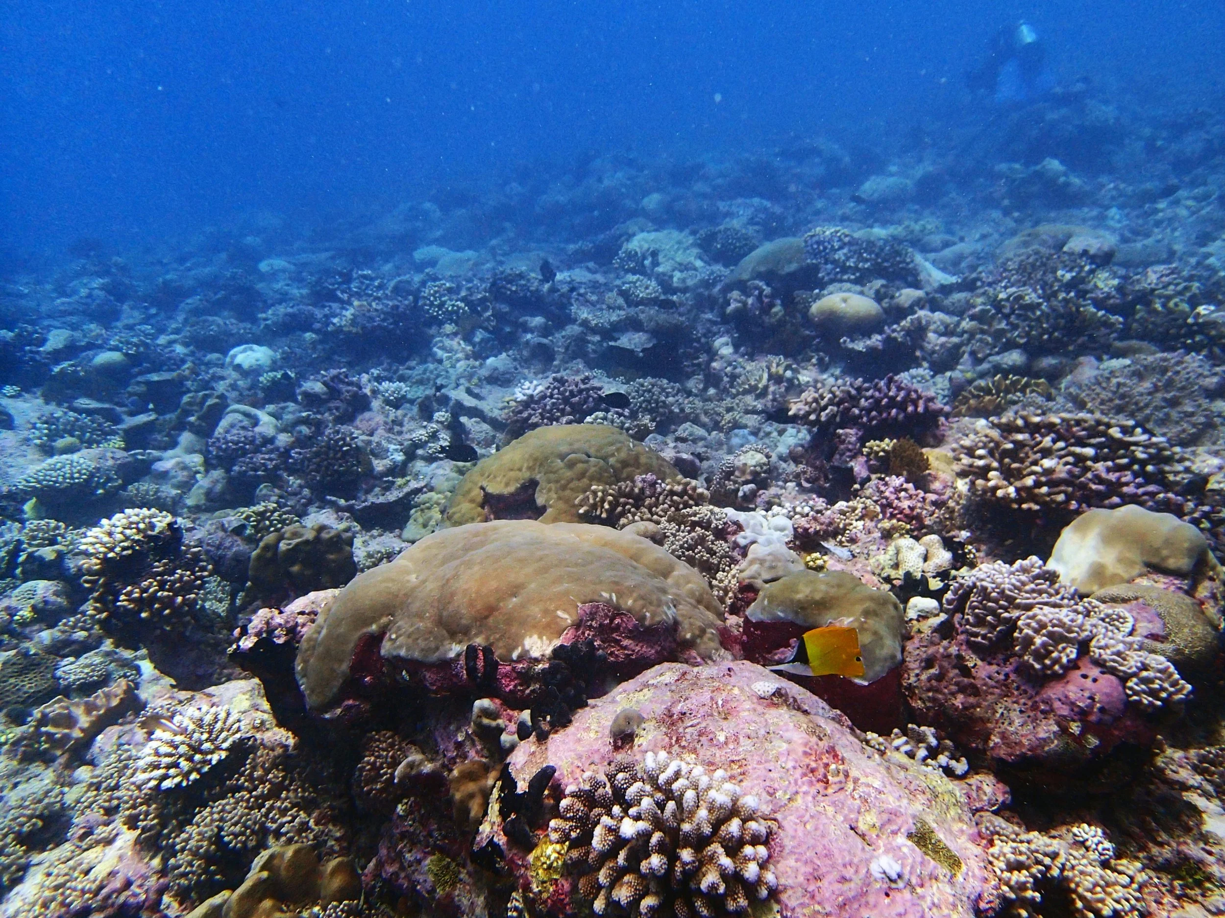 P4220944.jpg