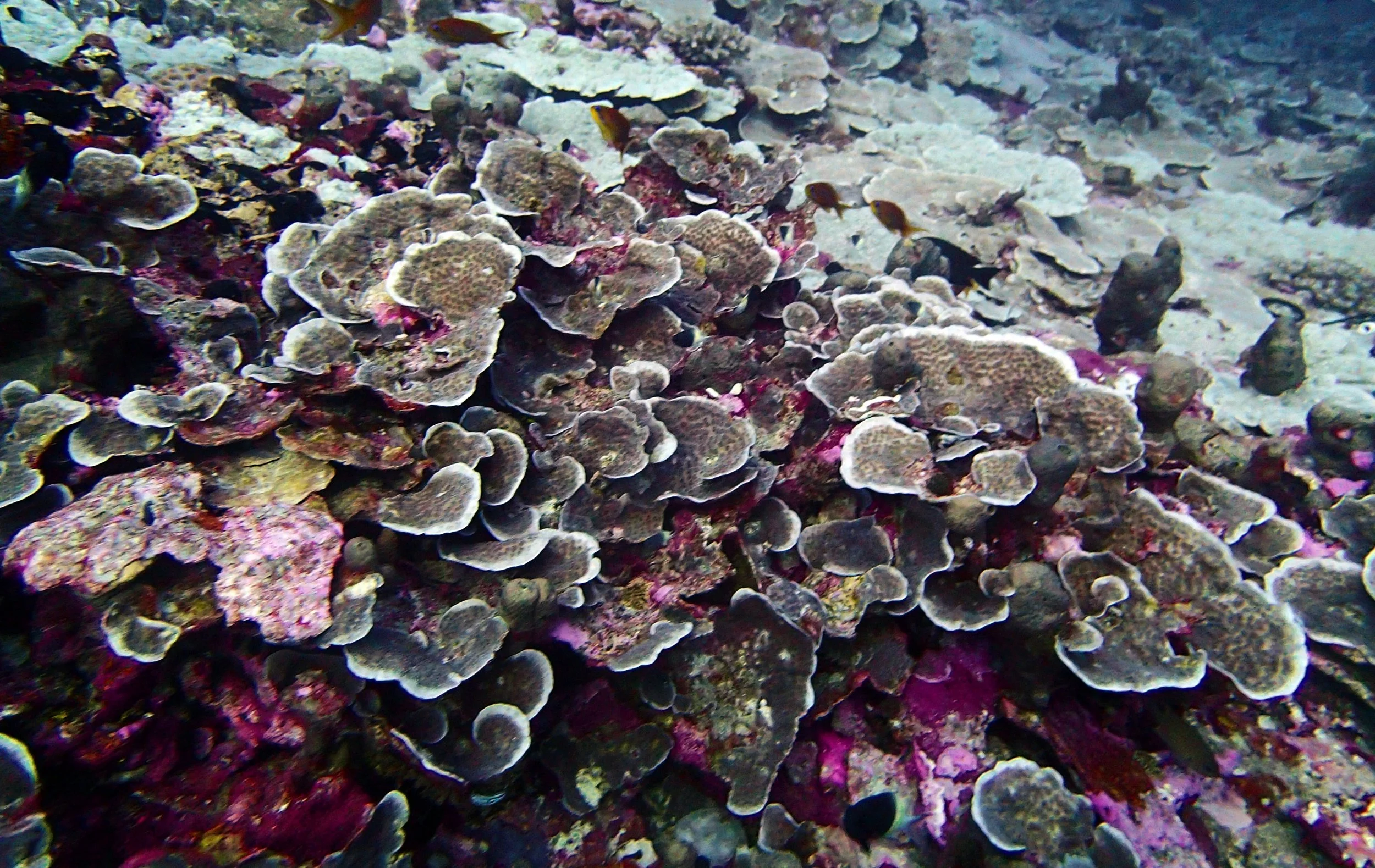 P4230847.jpg