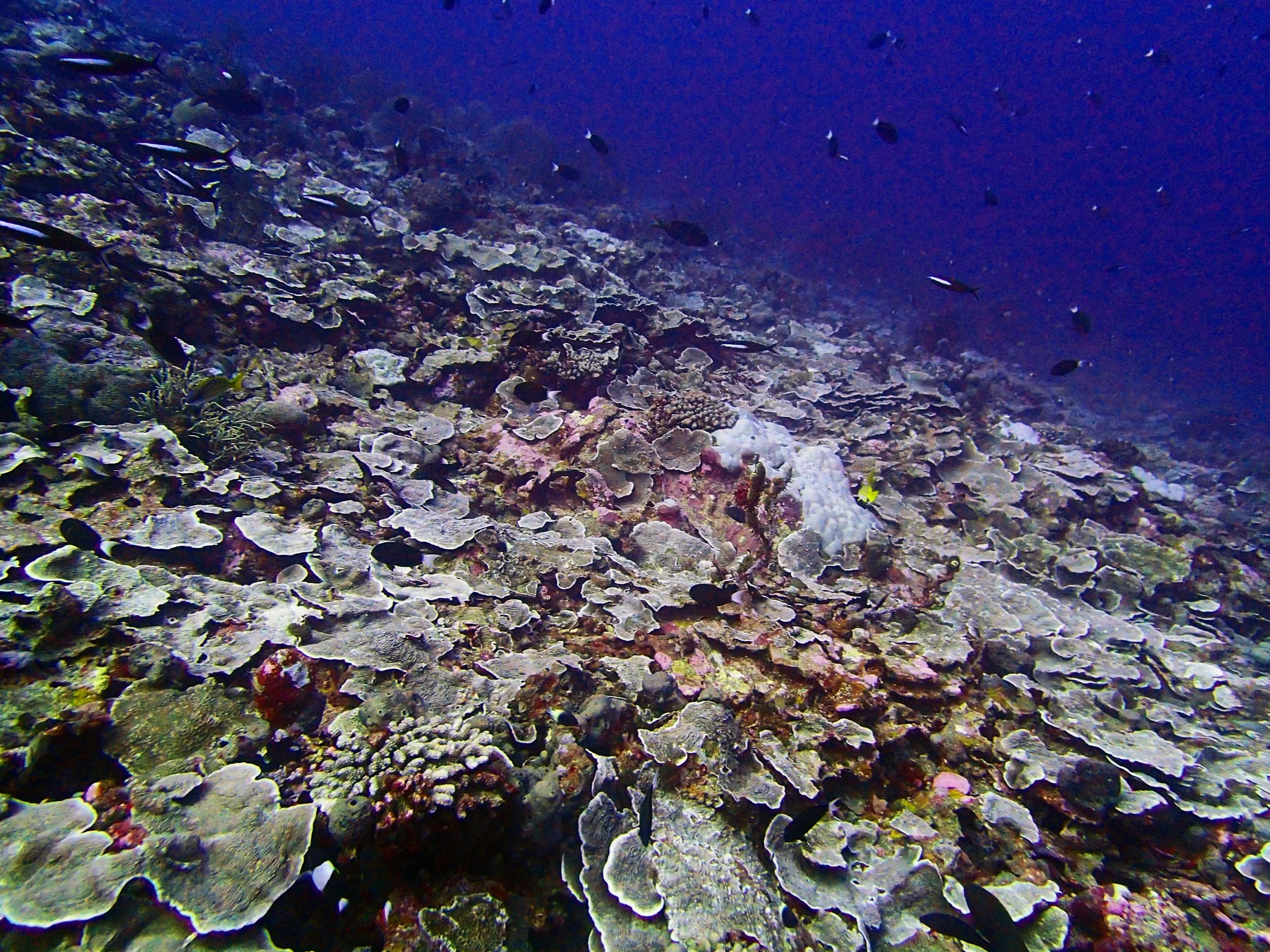 P4230849.jpg
