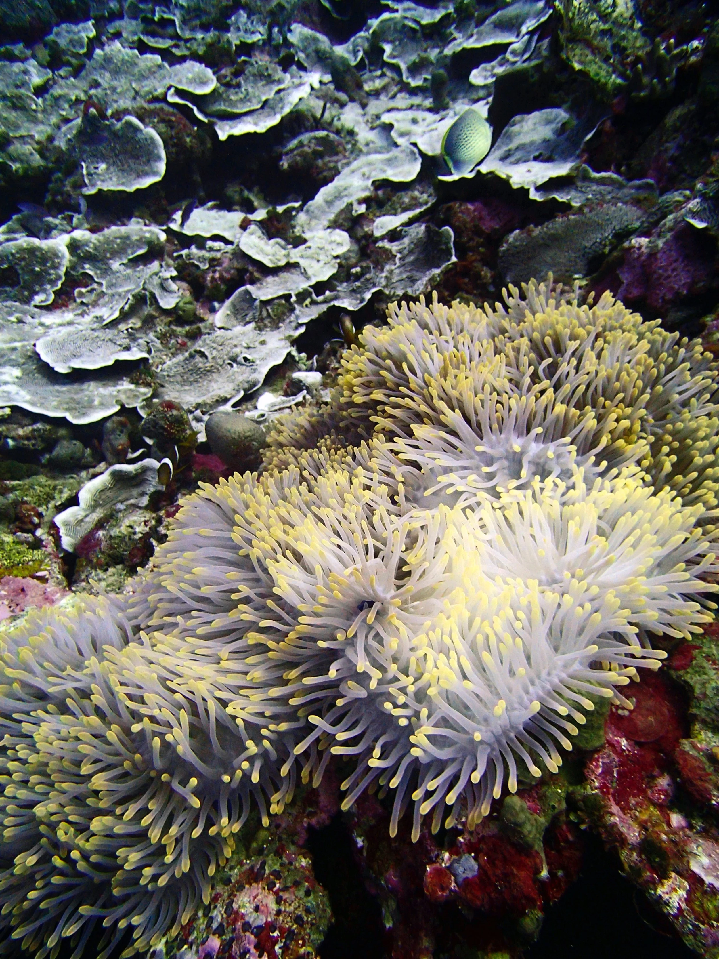 P4230850.jpg