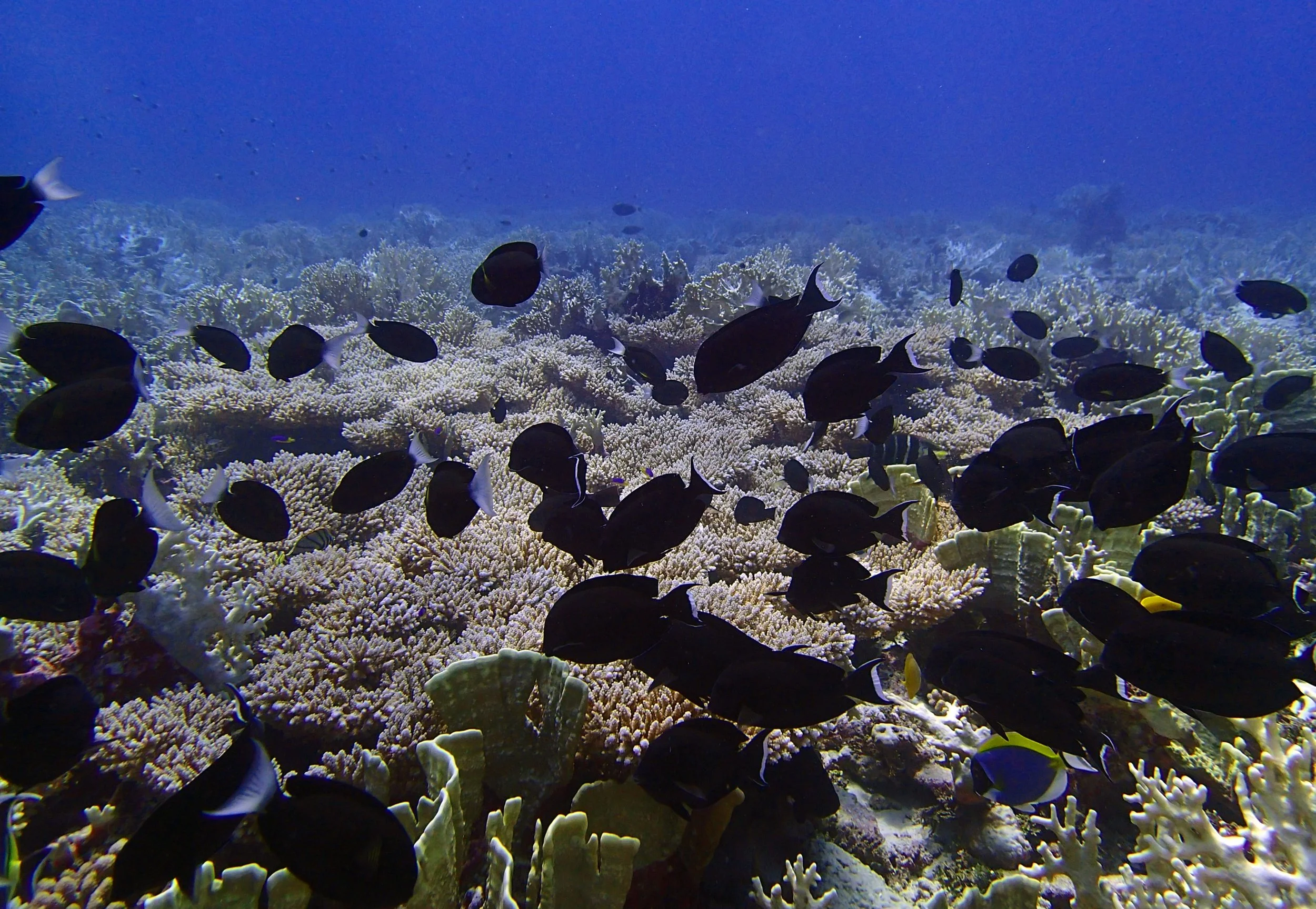 P4300937.jpg