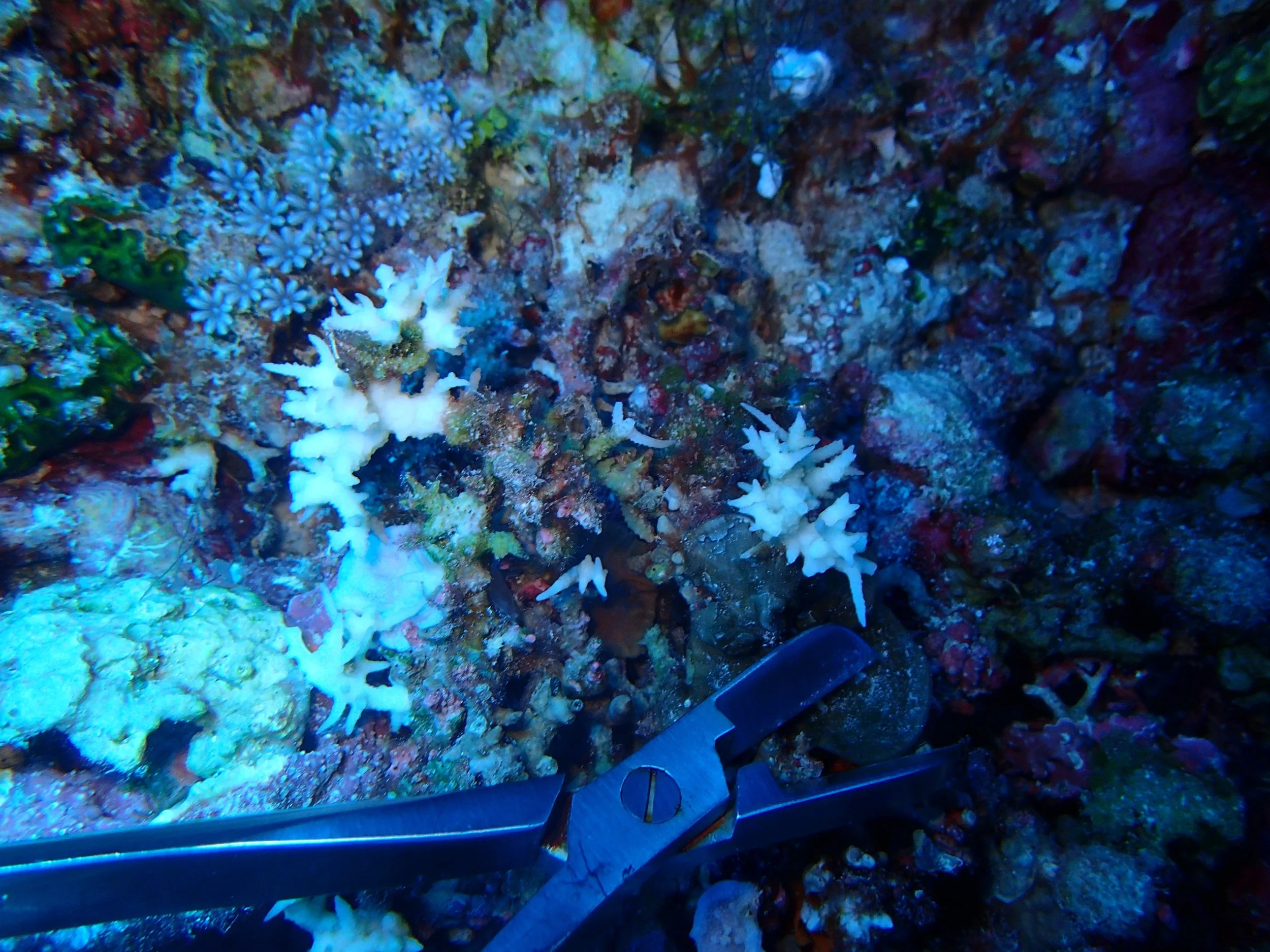 P4230853.jpg