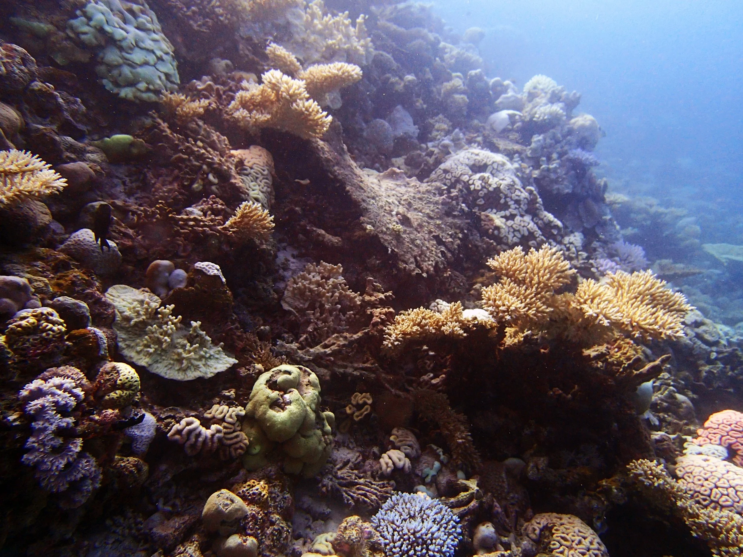 P4230921.jpg