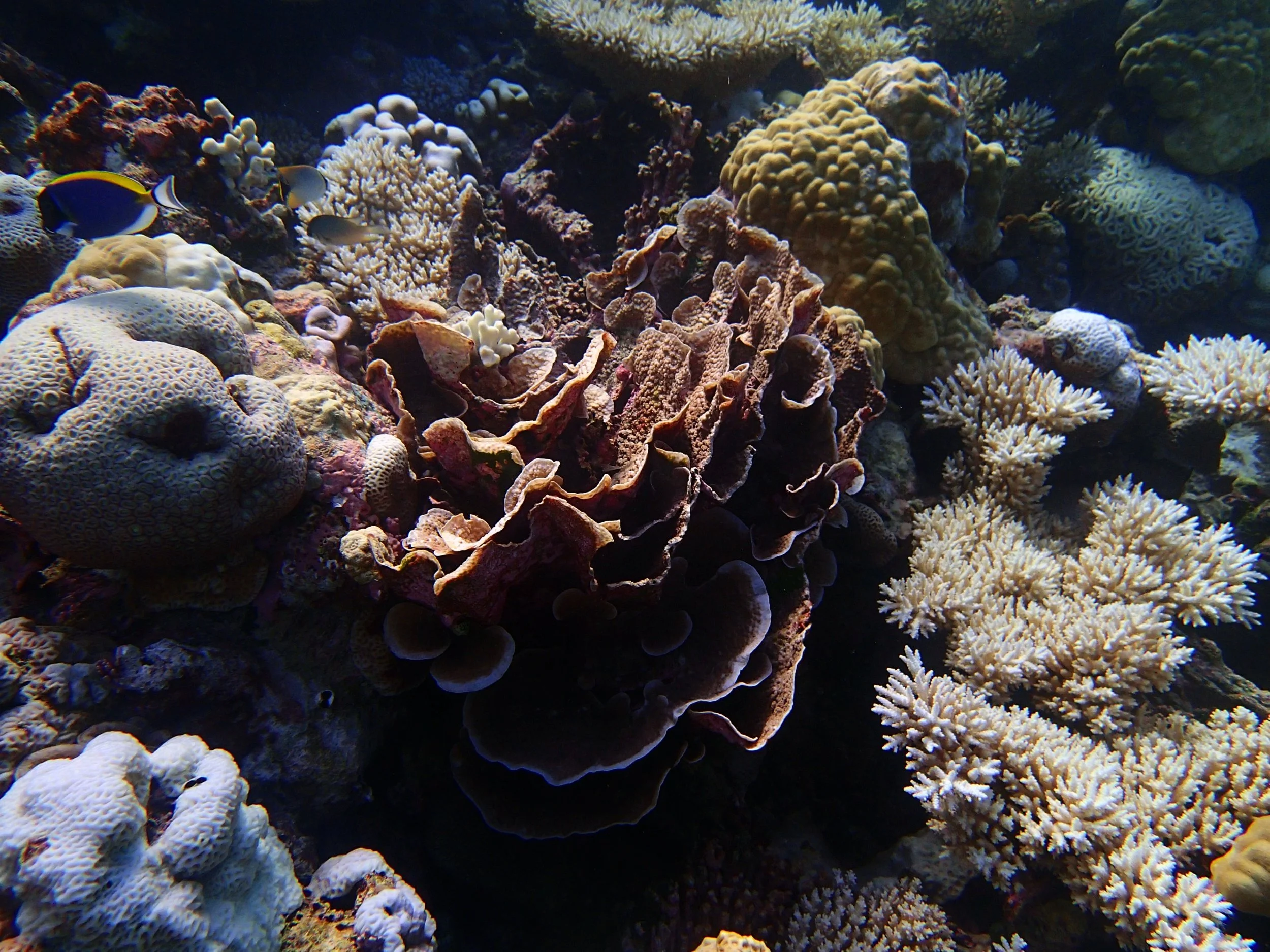 P4230933.jpg