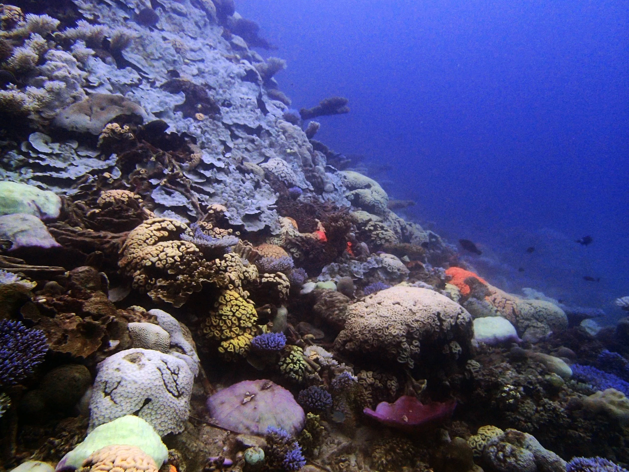 P4240894.jpg