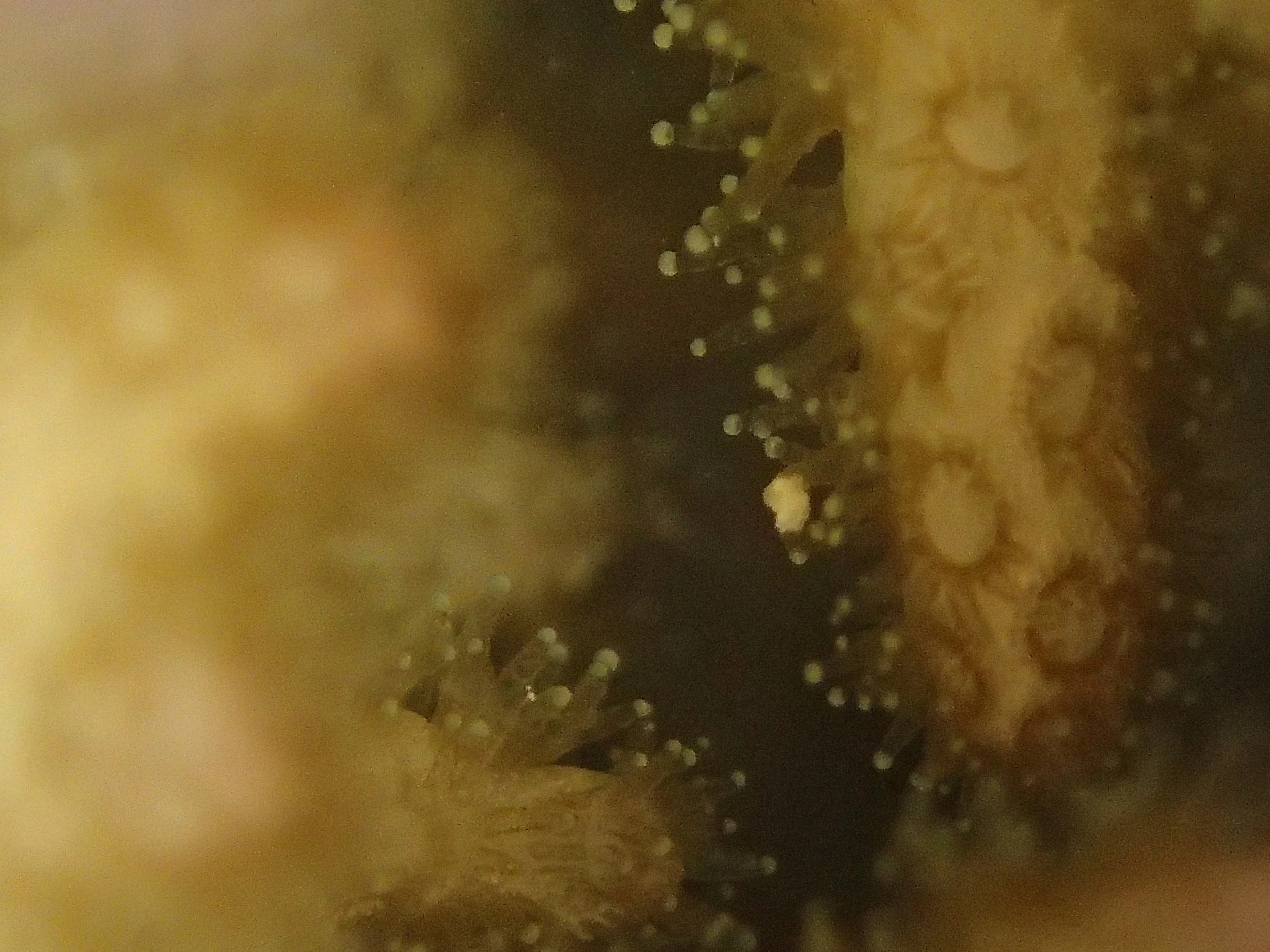 P4240842.jpg