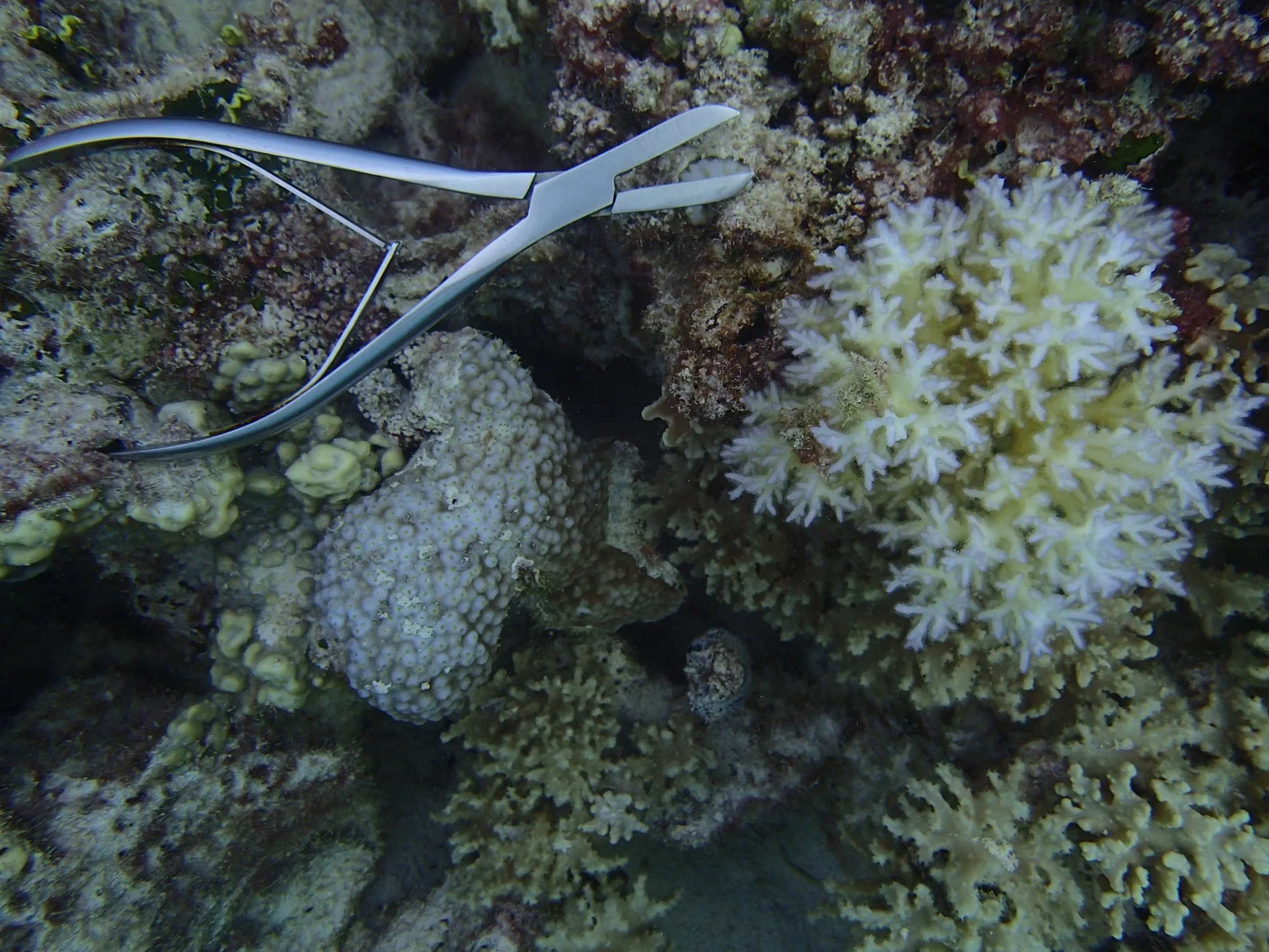 P4240879.jpg