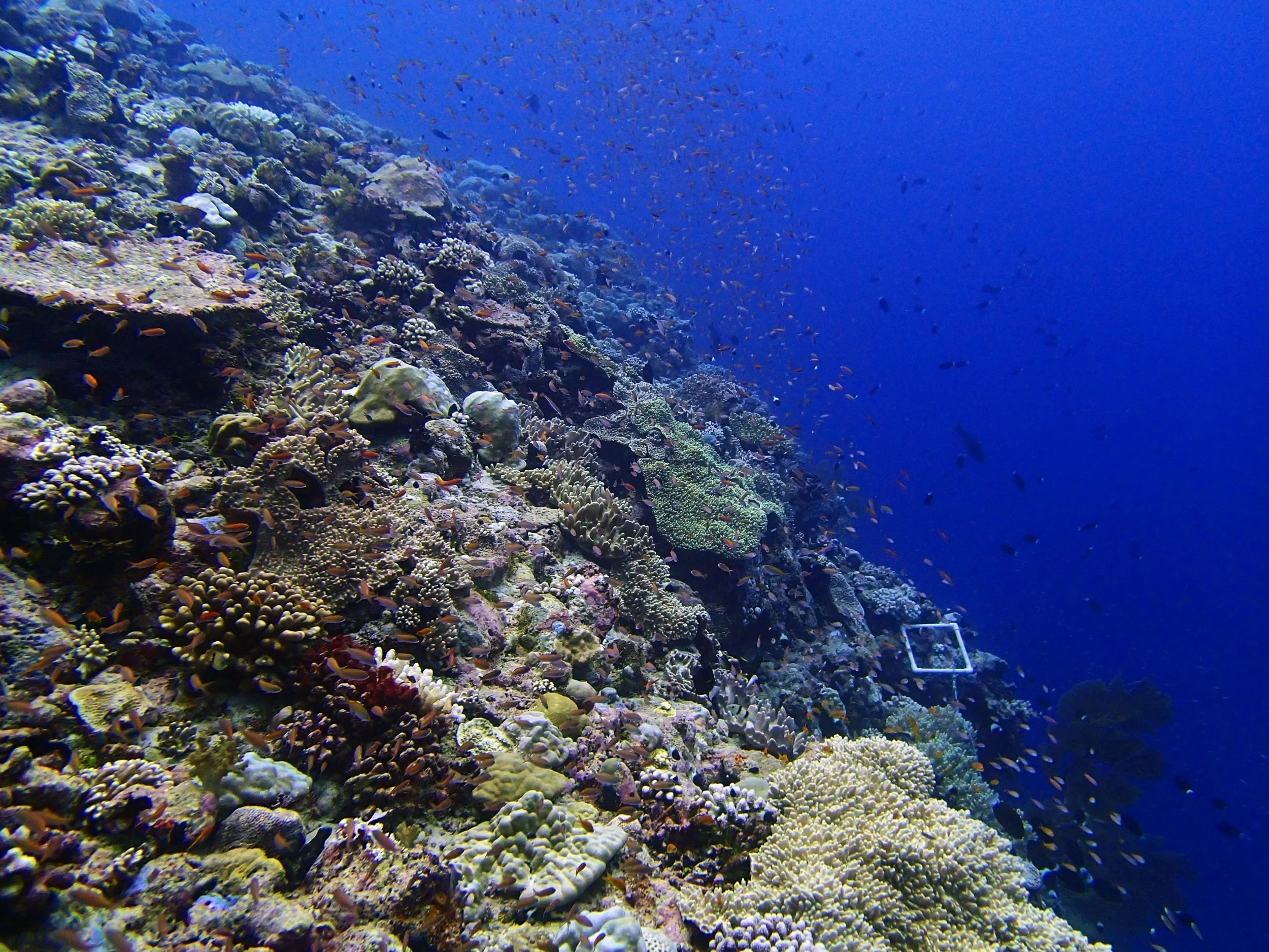 P4250877.jpg