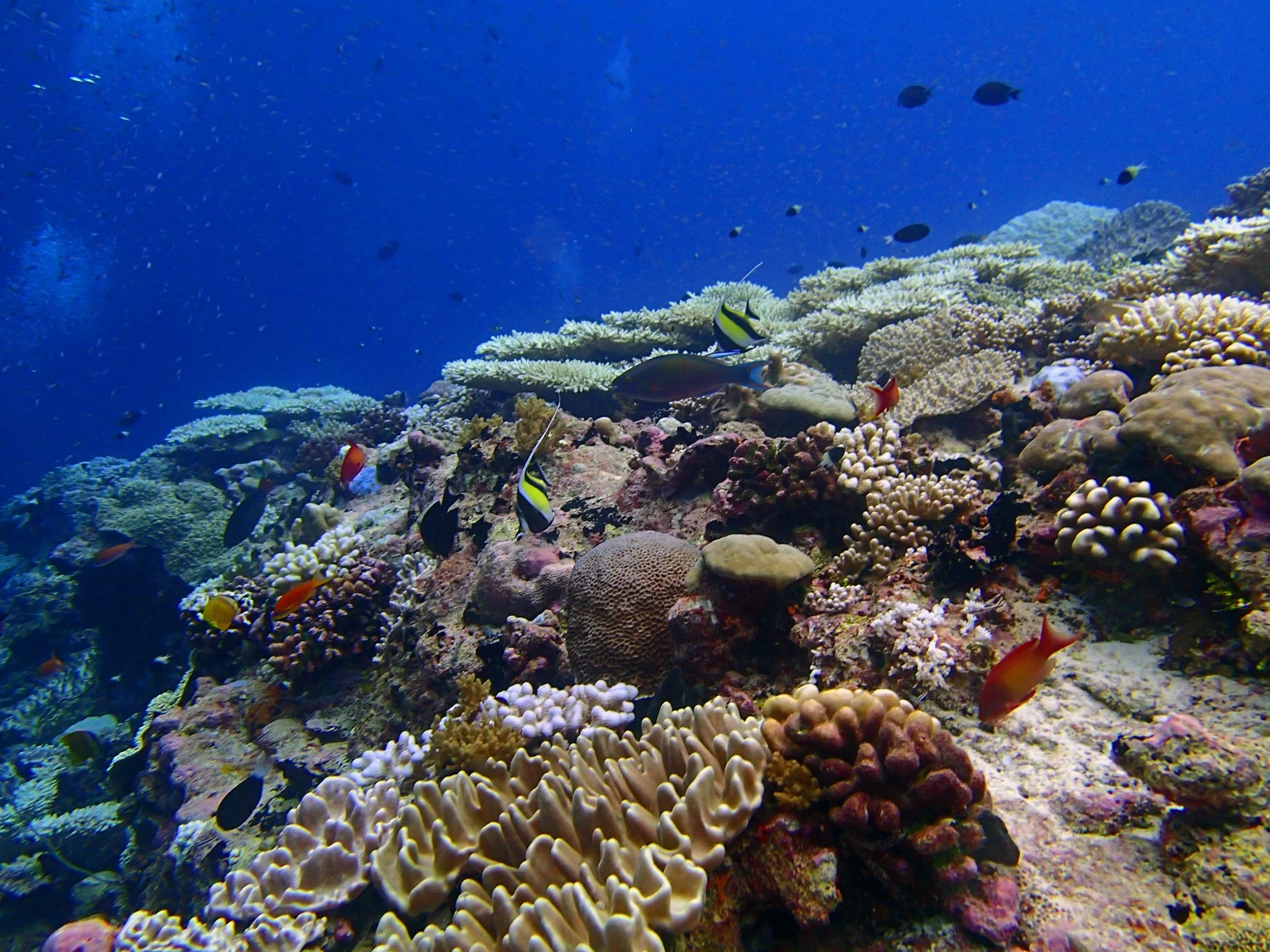 P4250892.jpg